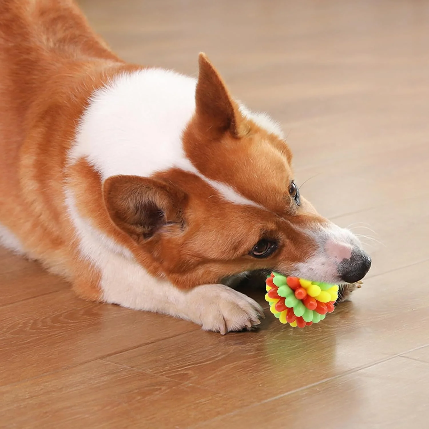 توپ های بازی برای سگ ها | توپ های جویدنی تعاملی سگ | لوازم حیوانات خانگی برای بازی فچ، مناسب برای نژادهای کوچک، متوسط و بزرگ، توله سگ، تمرینات حرکتی، غنی سازی، بازی در فضای داخلی و خارجی