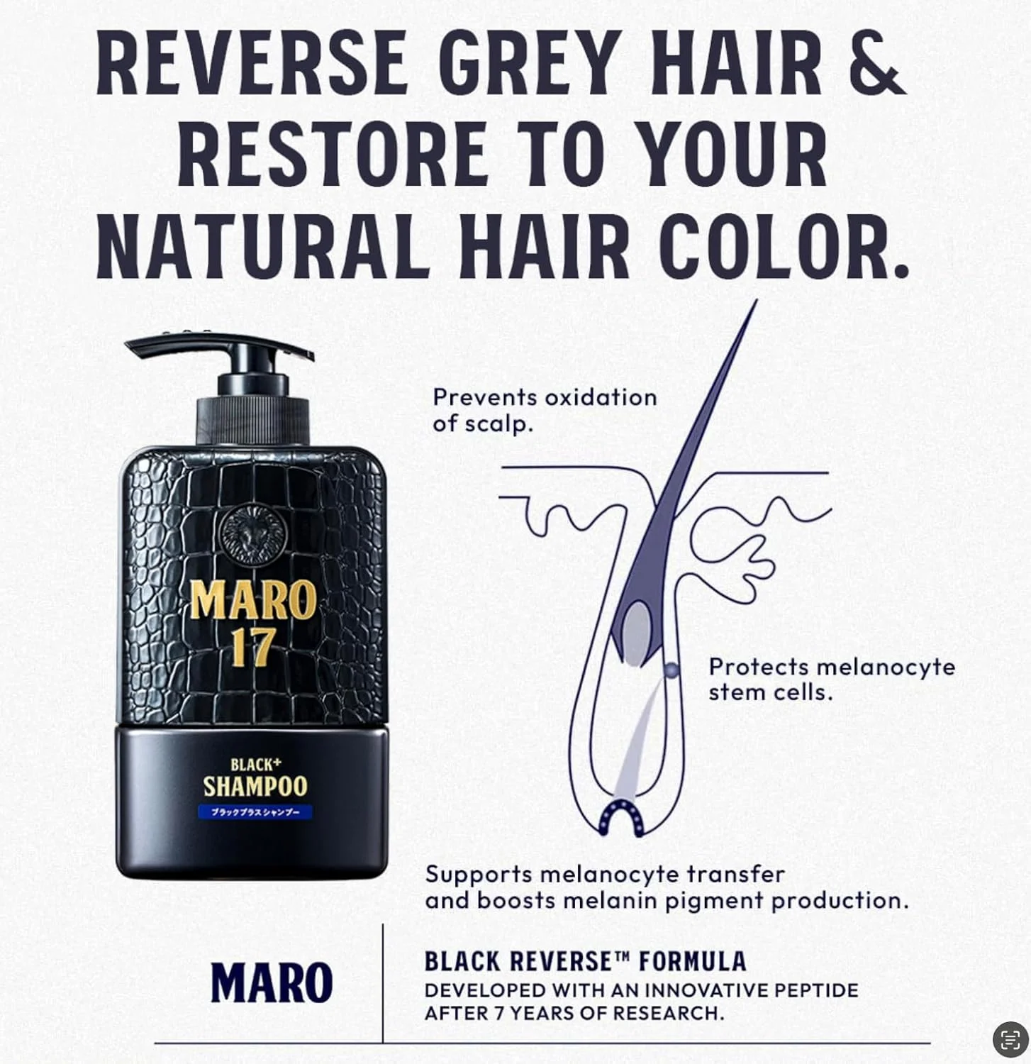 شامپو مشکی پلاس MARO17 - شامپو مردانه برای احیای موهای خاکستری، شامپو بدون سولفات مسدود کننده DHT برای مردان حاوی رویال ژلی و کلاژن برای موهای ضخیم تر و تیره تر - تقویت رشد مو و جلوگیری از سفید شدن مو شامپو مشکی پلاس MARO17 - شامپو مردانه برای احیای موهای خاکستری، شامپو بدون سولفات مسدود کننده DHT برای مردان حاوی رویال ژلی و کلاژن برای موهای ضخیم تر و تیره تر - تقویت رشد مو و جلوگیری از سفید شدن مو