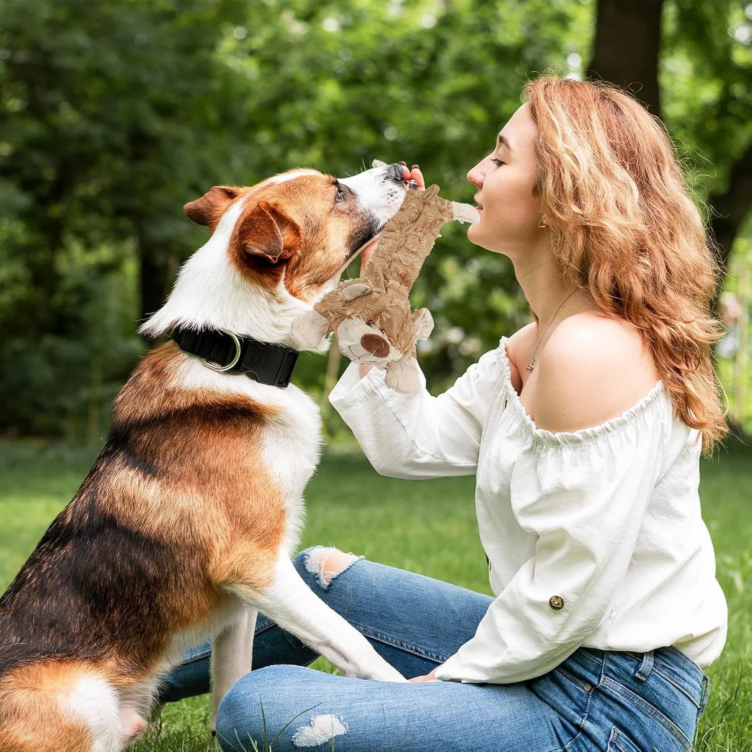 اسباب بازی جویدنی سگ - اسباب بازی تعاملی خرس، لوازم حیوانات خانگی، اسباب بازی های جویدنی توله سگ پولیشی | برای همه نژادها کوچک متوسط بزرگ خانه باغ حیاط اتاق خواب قفس مسافرت روزانه آموزش قبل از خواب