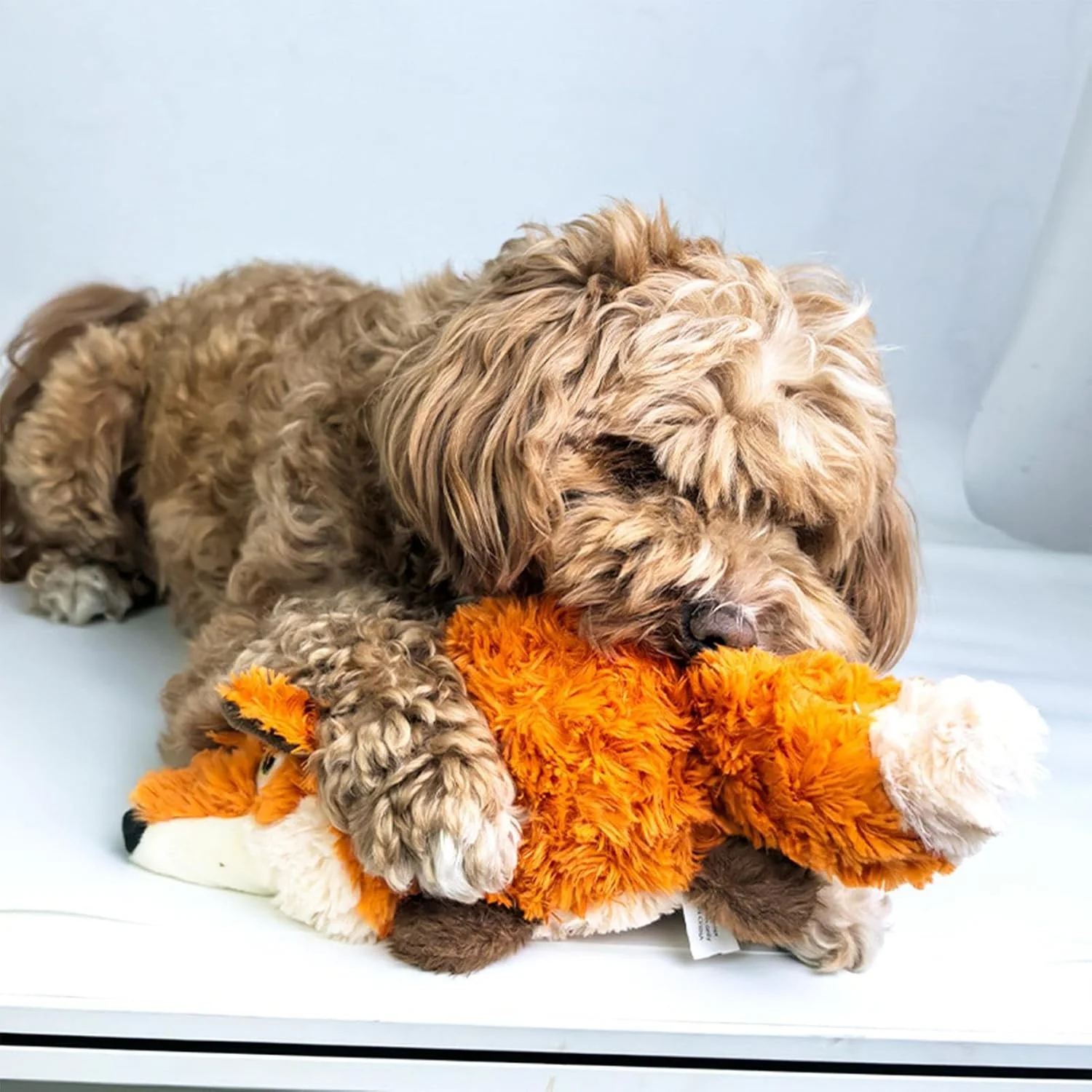 اسباب بازی حیوانات خانگی اتوماتیک | عروسک حیوانی دم تکان دهنده اتوماتیک برای توله سگ، اسباب بازی جویدنی برقی مقاوم در برابر گاز گرفتن برای سگ های کوچک و متوسط، بازی در فضای داخلی و خارجی خانه و حیاط