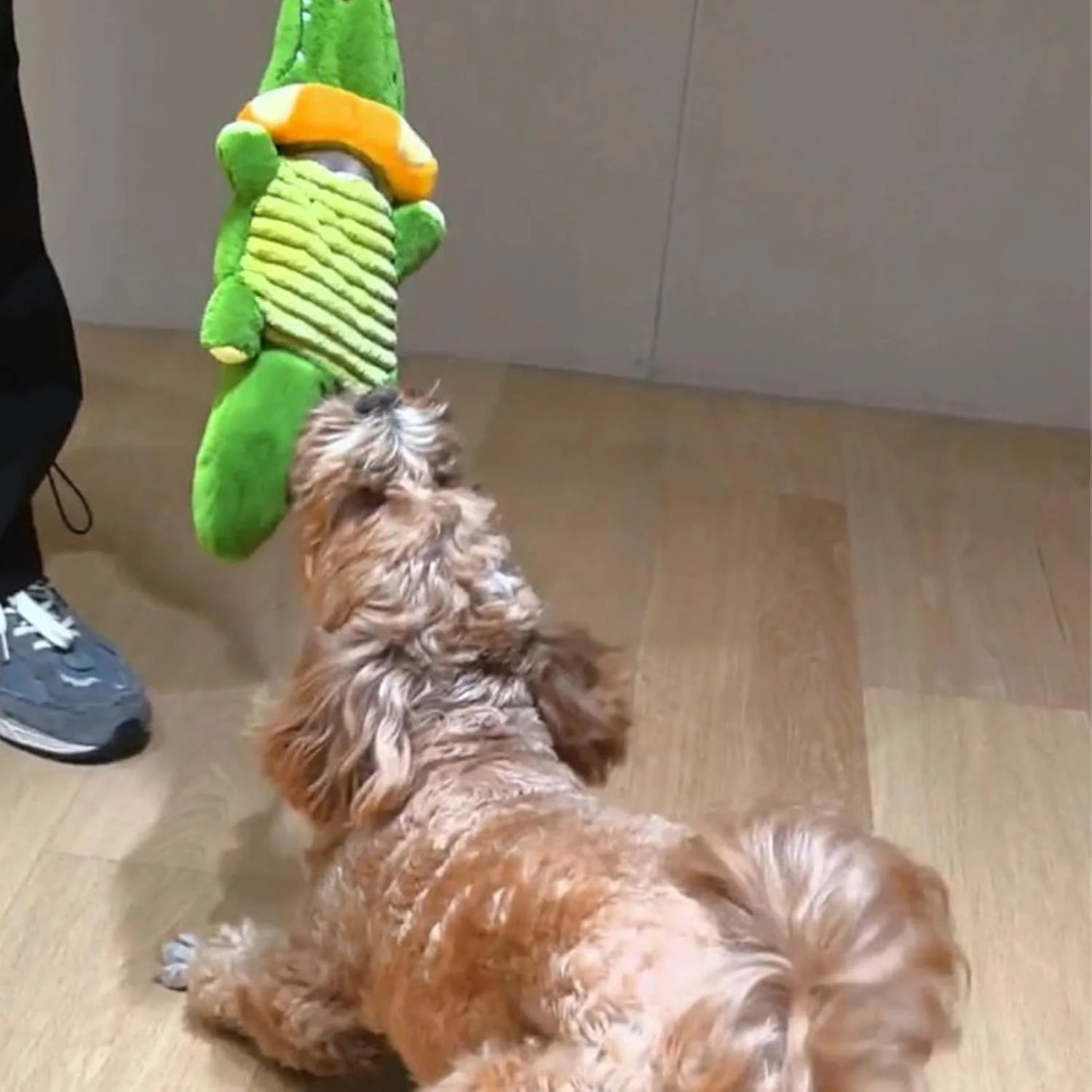 اسباب بازی اتوماتیک حیوانات خانگی - عروسک تعاملی دم تکان دهنده برای توله سگ، اسباب بازی جویدنی برقی مقاوم در برابر گاز گرفتن برای سگ های کوچک و متوسط ​​در فضای داخلی و خارجی خانه