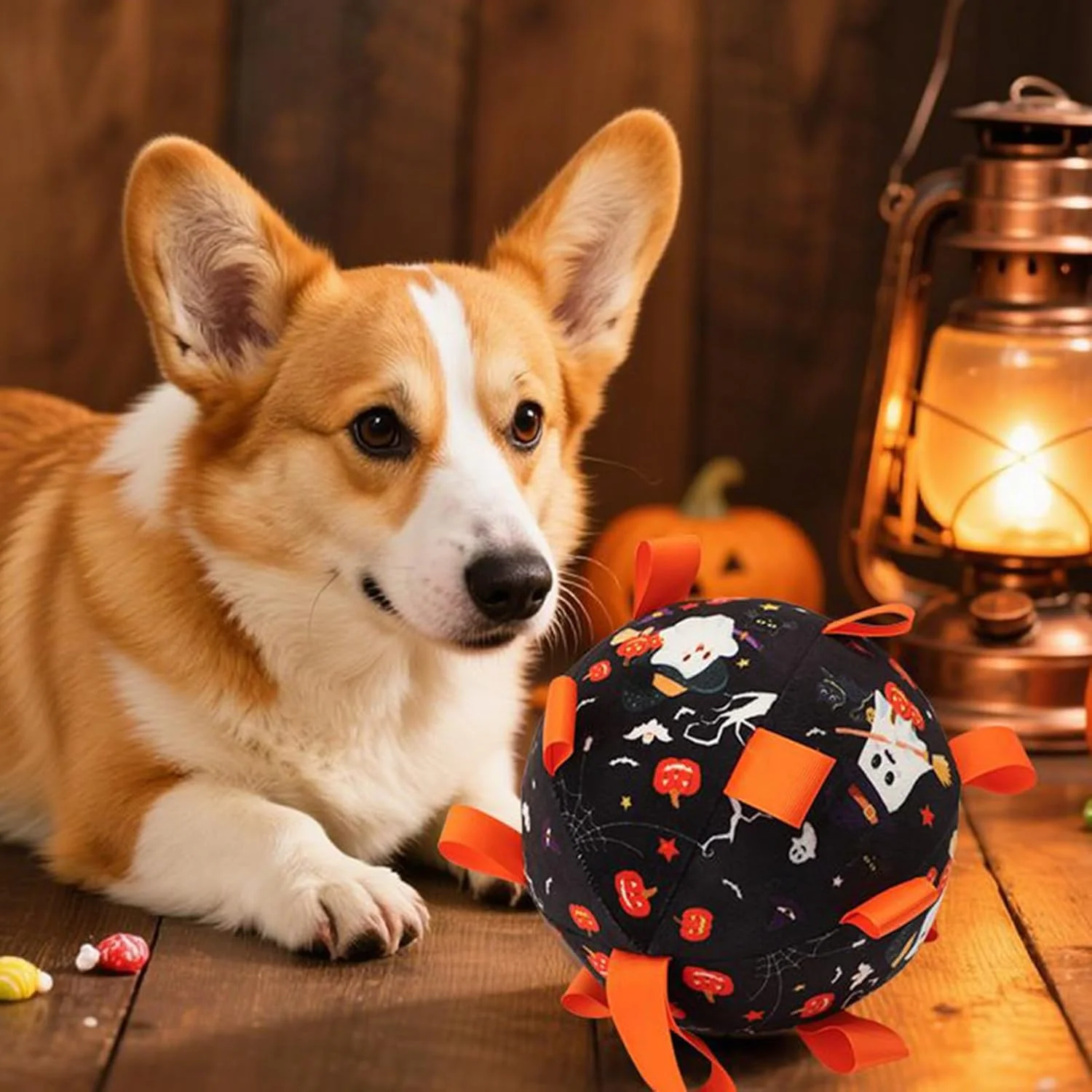 توپ فوتبال سگ - توپ فوتبال تعاملی حیوانات خانگی هالووین، اسباب بازی تعاملی جویدنی تهاجمی برای آموزش، تعقیب، دندان درآوردن، شکار، رفع خستگی در فضای باز و تحریک