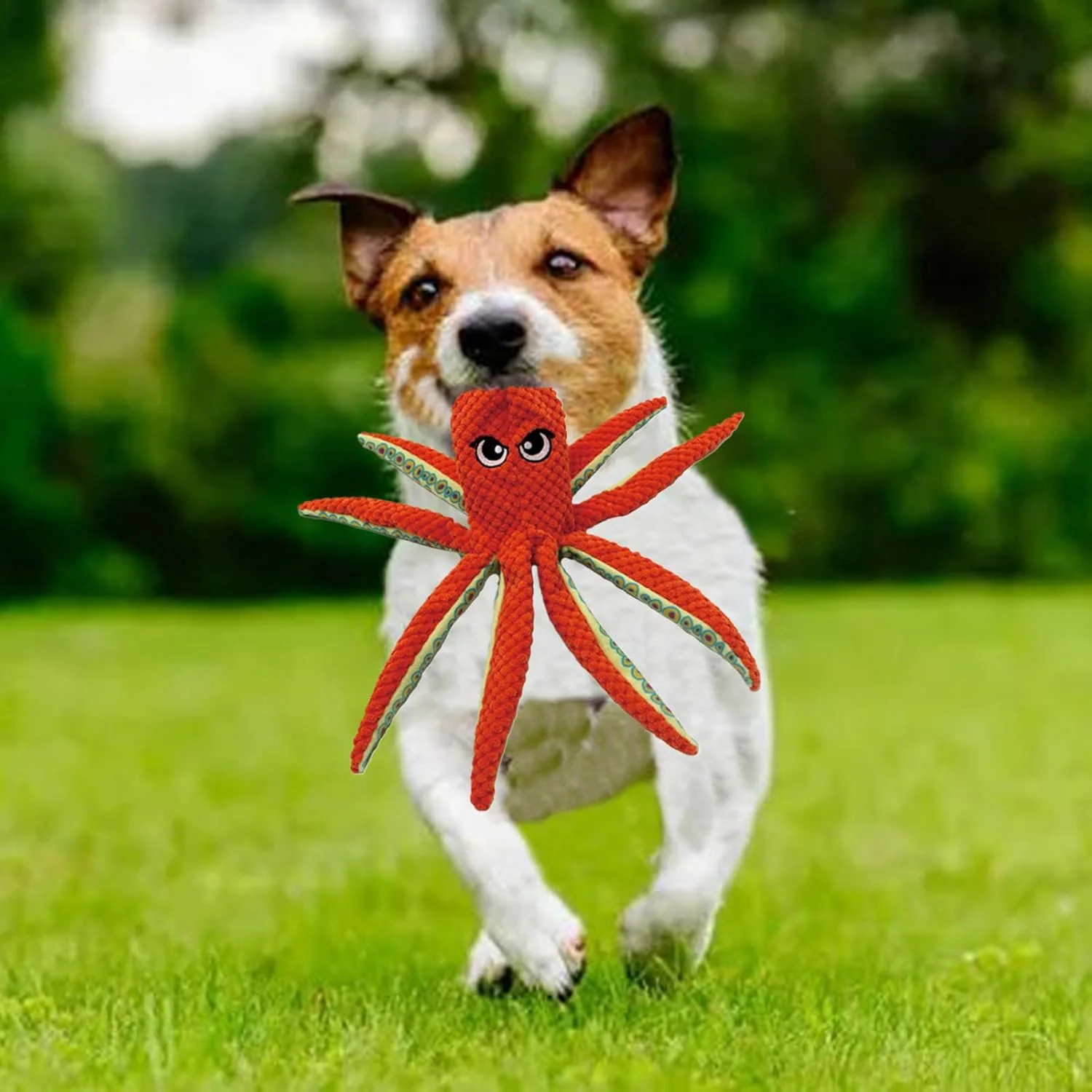 اسباب بازی سگ پولیشی صدادار | اسباب بازی حیوانات خانگی به شکل اختاپوس - عروسک دندان گیر توله سگ پر شده | برای تمرین کاهش استرس، کشیدن طناب، دندان درآوردن و جویدن تهاجمی