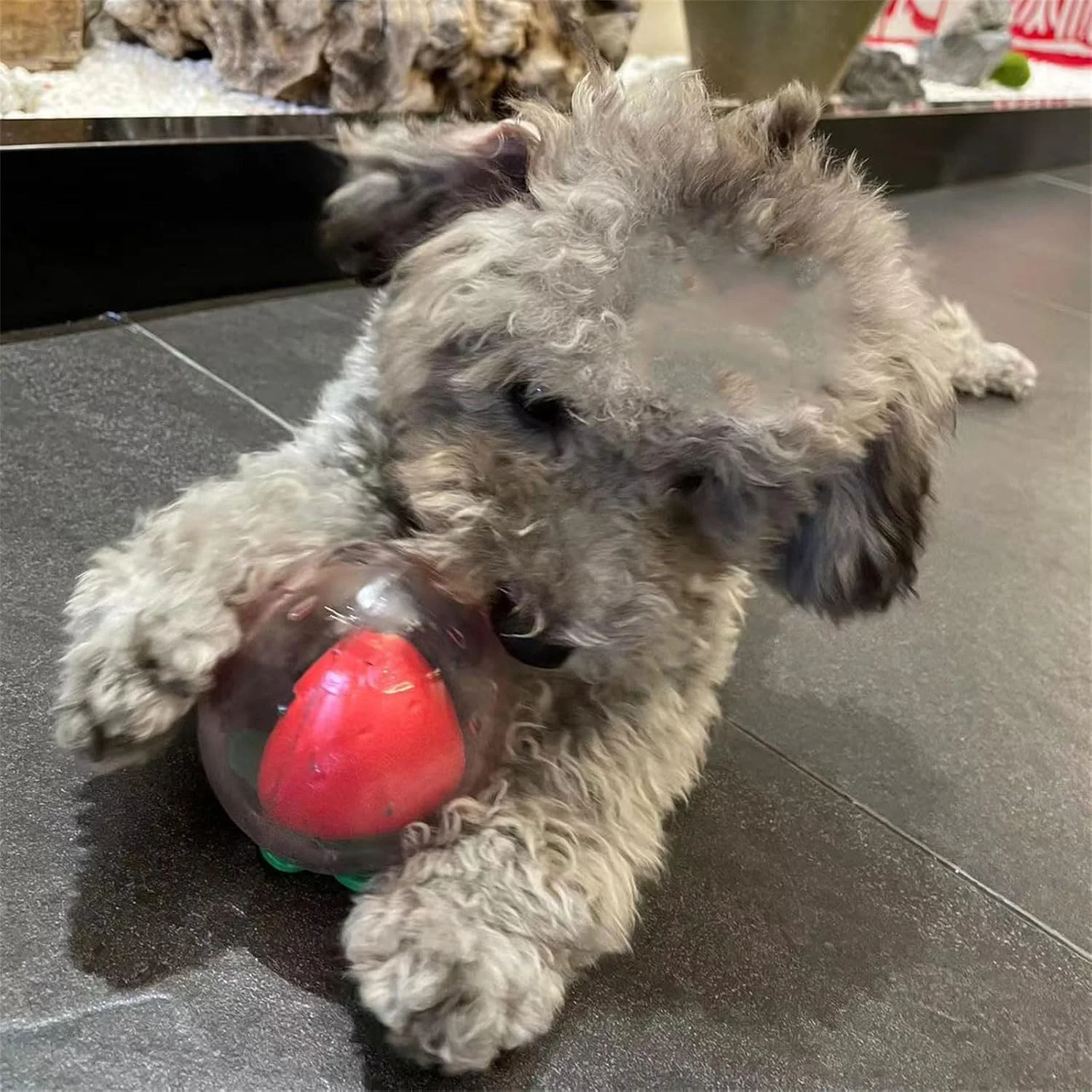 اسباب بازی سگ، مقاوم در برابر گاز گرفتن، الاستیک، تمیز کننده دندان، مناسب برای سایزهای مختلف، اسباب بازی جویدنی آرامش بخش