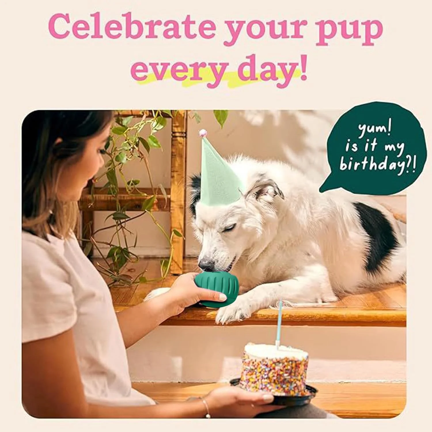 پازل تشویقی سگ، اسباب بازی توپی شکل حیوانات خانگی، پخش کننده غذا | برای آموزش، فعالیت بعد از غذا، جلوگیری از بی حوصلگی، تحریک ذهنی در خانه و اتاق نشیمن