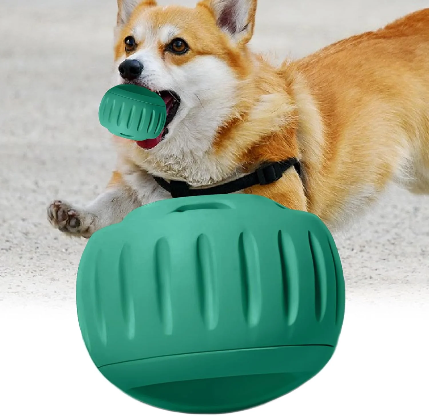 پازل تشویقی سگ، اسباب بازی توپی شکل حیوانات خانگی، پخش کننده غذا | برای آموزش، فعالیت بعد از غذا، جلوگیری از بی حوصلگی، تحریک ذهنی در خانه و اتاق نشیمن