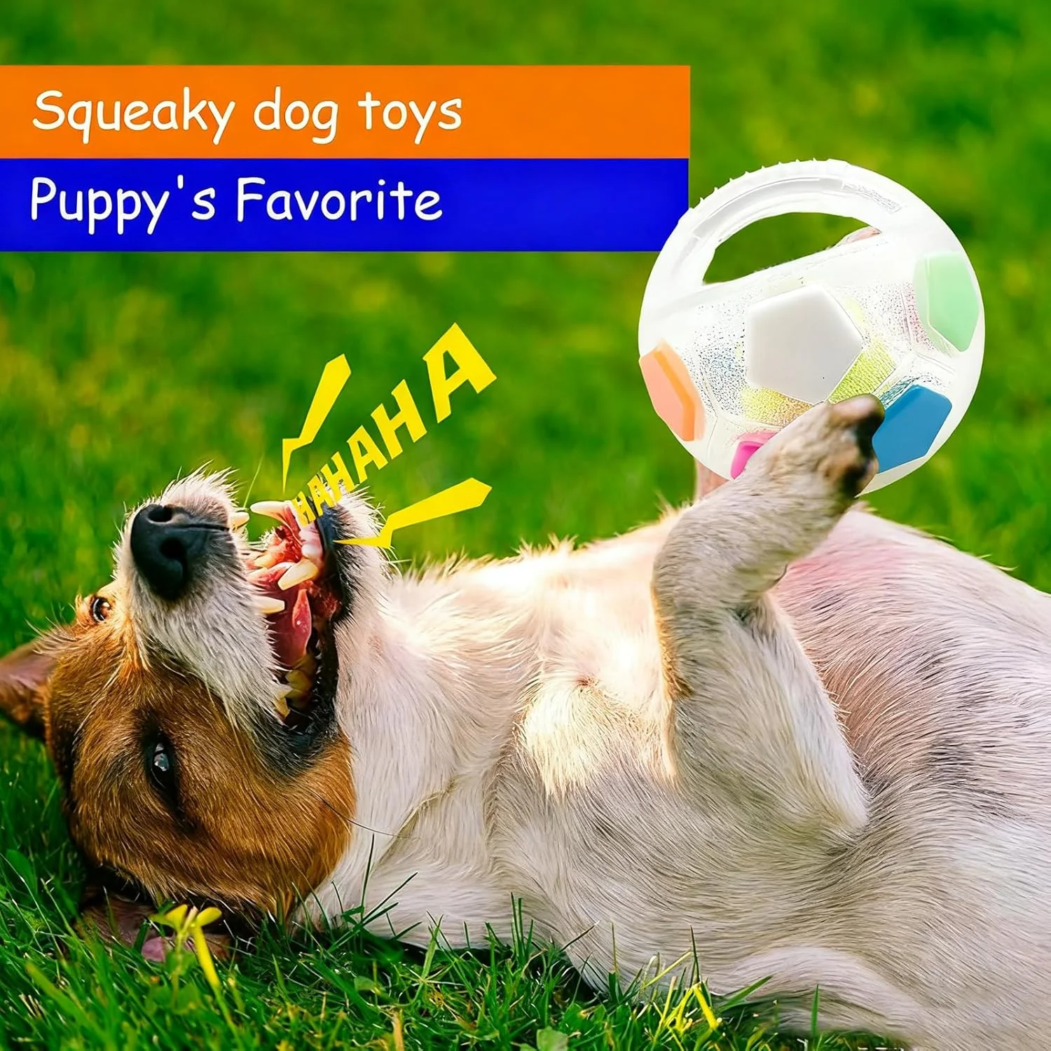 توپ بازی سگ - لوازم حیوانات خانگی برای آوردن و پرتاب کردن - توپ پخش کننده تشویقی و لیسیدنی با صدای جیر جیر | برای نژادهای کوچک، متوسط و بزرگ، سگ های جونده قوی، توله سگ ها، بازی در فضای باز، غنی سازی، پیاده روی و آموزش