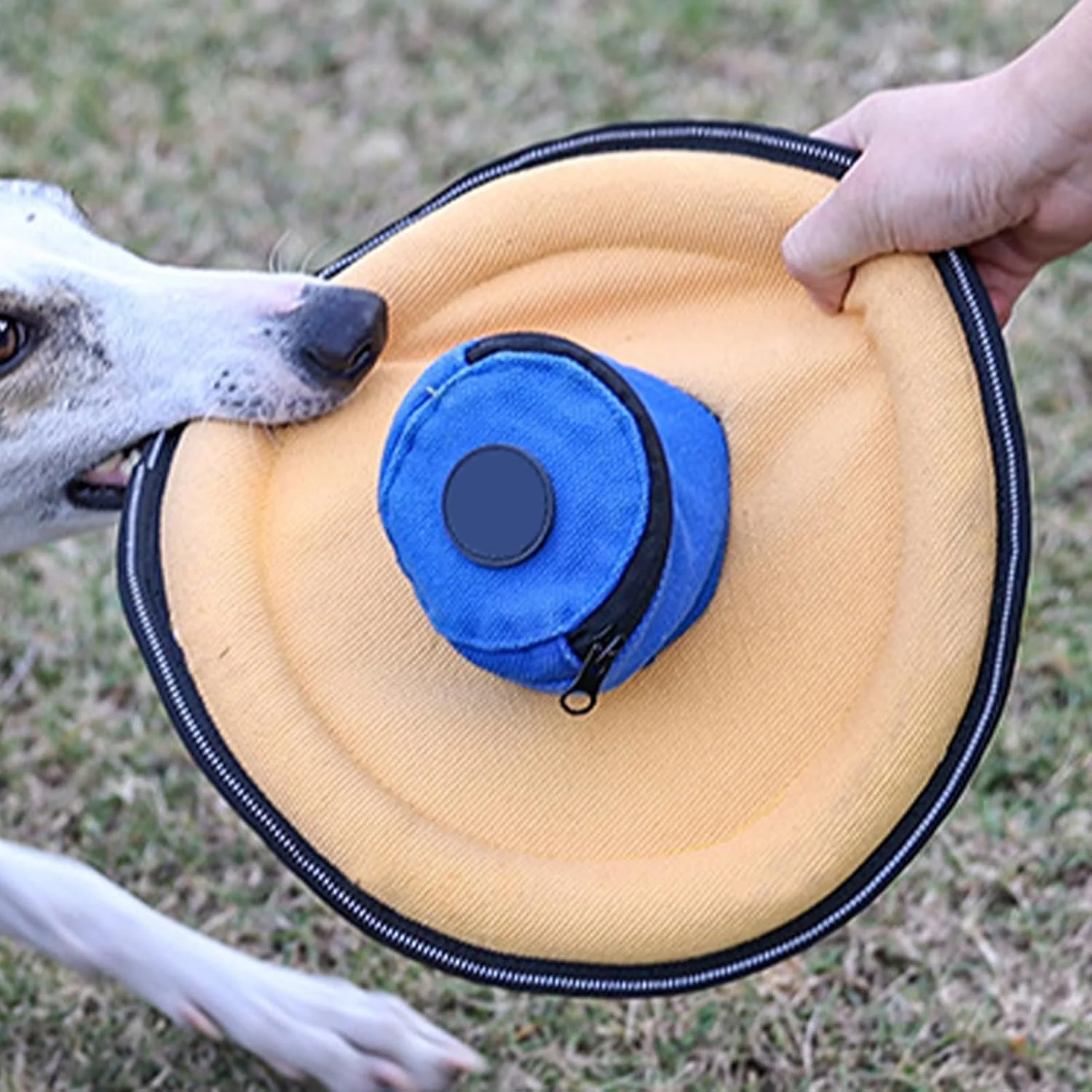 دیسک پرنده توله سگ | اسباب بازی تعاملی نرم بوم، دیسک پرنده بوم برای بازی سگ | برای همه نژادها کوچک متوسط پارک ساحل حیاط خلوت کمپینگ پیاده روی آخر هفته