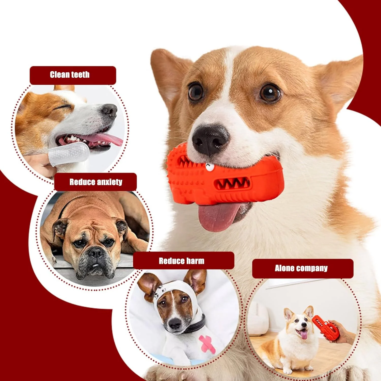 اسباب بازی سگ تمساح پرسروصدا، لوازم بازی توله سگ لاستیکی پرسروصدا | اسباب بازی های آموزشی سگ بزرگ - برای مربیان والدین حیوانات خانگی در فضای داخلی و خارجی، تسکین دندان درآوردن، آپارتمان، اتاق خواب، اتاق نشیمن، اتاق مطالعه، پارک، حیاط، چمن