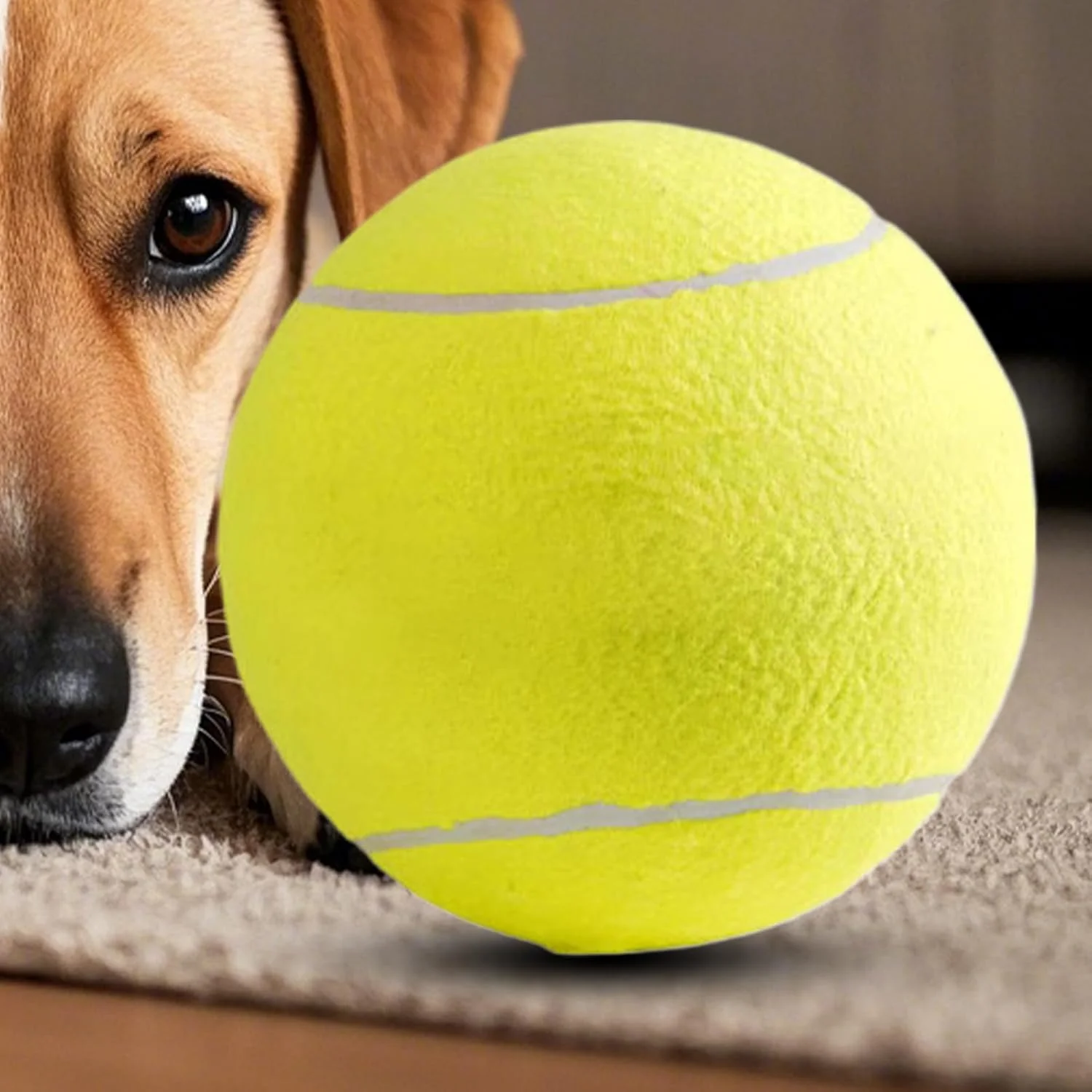 توپ بازی سگ، لوازم آموزشی حیوانات خانگی - توپ جویدنی سگ | مناسب توله سگ، سگ های کوچک، متوسط و بزرگ، بازی در فضای داخلی و خارجی، غنی سازی، آوردن و پیاده روی توپ بازی سگ، لوازم آموزشی حیوانات خانگی - توپ جویدنی سگ | مناسب توله سگ، سگ های کوچک، متوسط و بزرگ، بازی در فضای داخلی و خارجی، غنی سازی، آوردن و پیاده روی