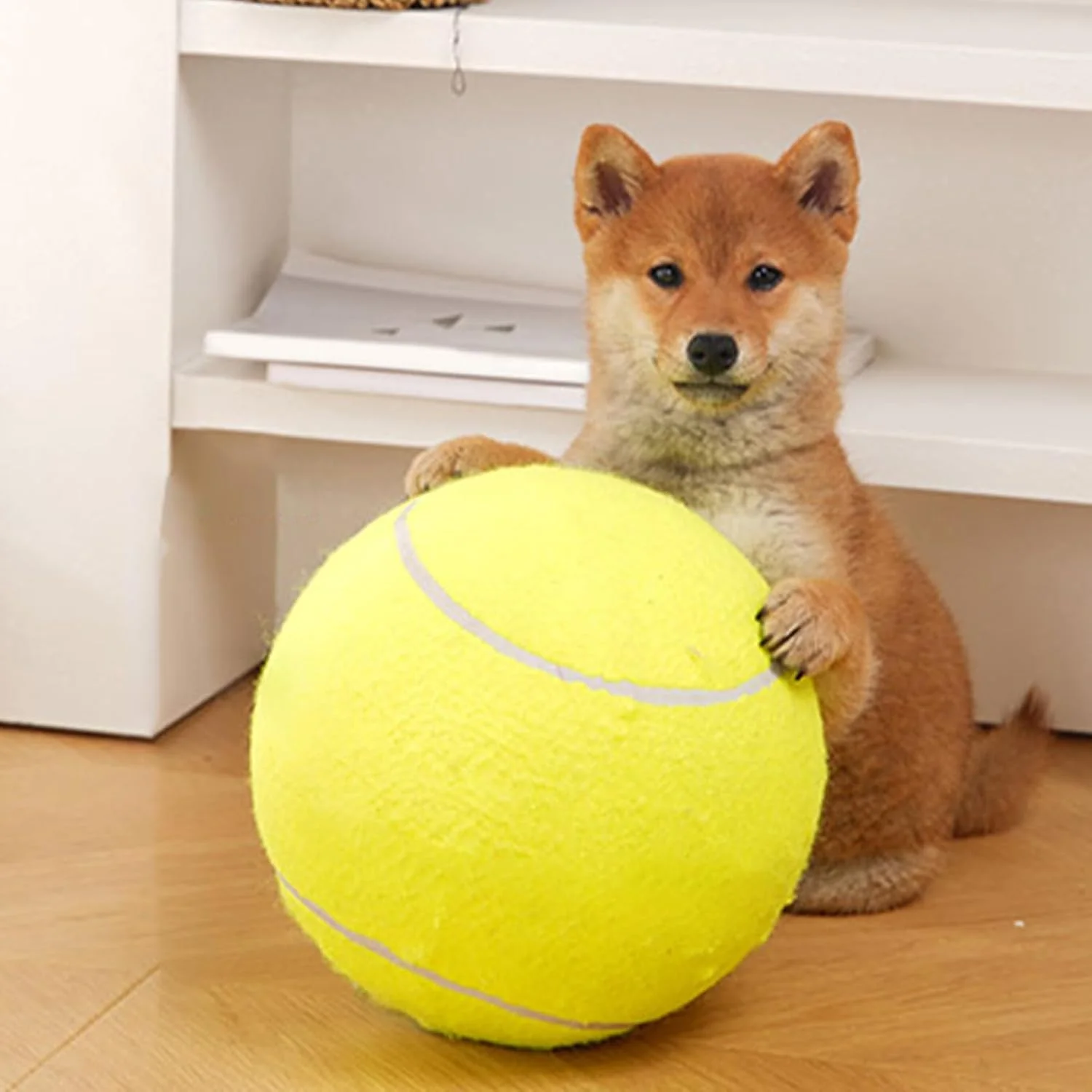 توپ برای سگ ها، لوازم آموزشی بزرگ حیوانات خانگی - توپ های تنیس برای سگ ها، برای توله سگ های کوچک، متوسط و بزرگ، بازی در فضای داخلی و خارجی، غنی سازی، آوردن و پیاده روی