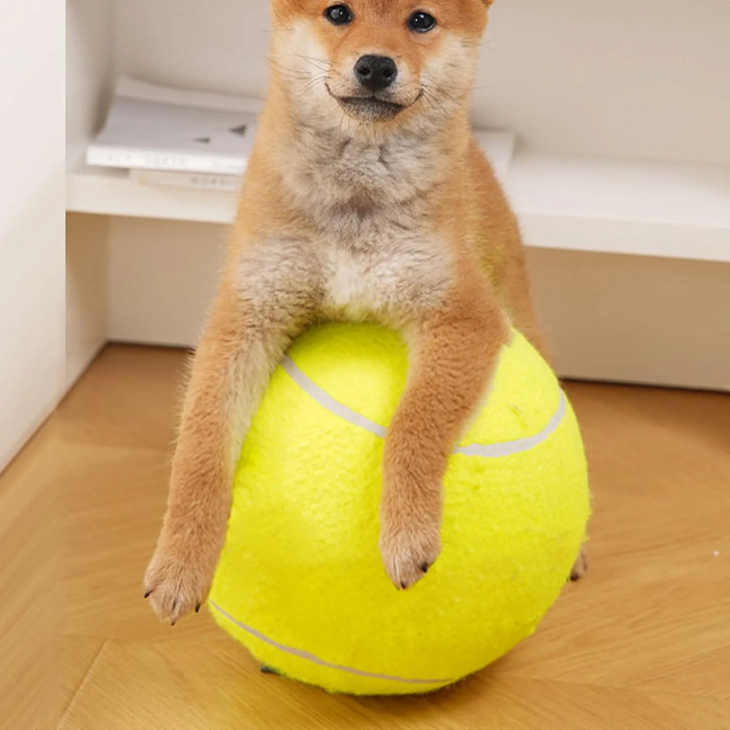 توپ بازی سگ - لوازم آموزشی تعاملی بزرگ حیوانات خانگی | توپ تمیز کننده دندان سگ - برای توله سگ، سگ های کوچک، متوسط و بزرگ، بازی در فضای داخلی و خارجی، غنی سازی، آوردن و پیاده روی