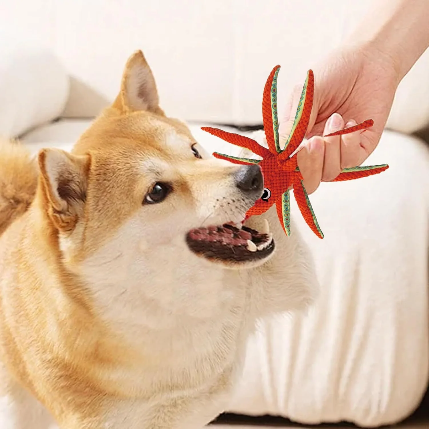 اسباب بازی سگ پولیشی صدادار - اسباب بازی حیوانات خانگی به شکل اختاپوس | عروسک جویدنی کششی توله سگ | برای تمرین کاهش استرس، آموزش کشش و دندان درآوردن سگ های جونده