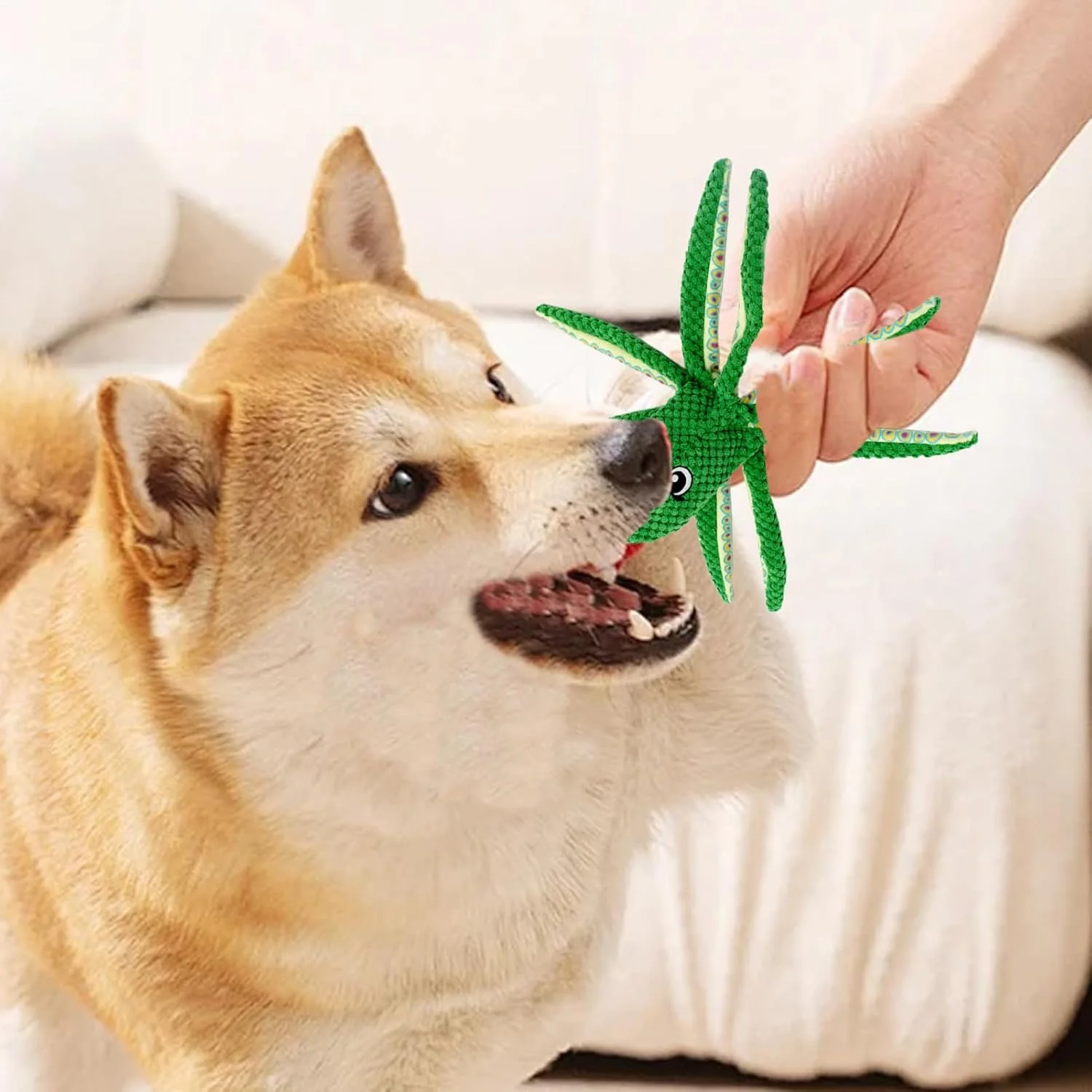 اسباب بازی سگ پولیشی صدادار، جویدنی حیوانات خانگی طرح اختاپوس | عروسک جویدنی کششی توله سگ، برای تمرین رفع استرس، آموزش کشش و دندان درآوردن سگ های پرخاشگر