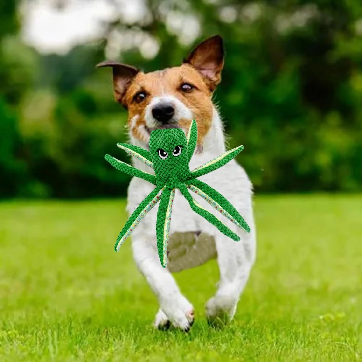 اسباب بازی سگ پولیشی صدادار، جویدنی حیوانات خانگی طرح اختاپوس | عروسک جویدنی کششی توله سگ، برای تمرین رفع استرس، آموزش کشش و دندان درآوردن سگ های پرخاشگر