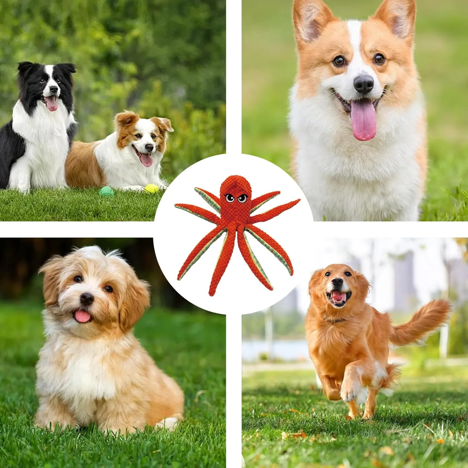 اسباب بازی کوچک سگ با صدای جیر جیر | اسباب بازی حیوانات خانگی به شکل اختاپوس | عروسک دندان درآوردن آرام بخش توله سگ - برای تمرین کاهش استرس، آموزش طناب کشی، دندان درآوردن و جویدن تهاجمی اسباب بازی کوچک سگ با صدای جیر جیر | اسباب بازی حیوانات خانگی به شکل اختاپوس | عروسک دندان درآوردن آرام بخش توله سگ - برای تمرین کاهش استرس، آموزش طناب کشی، دندان درآوردن و جویدن تهاجمی