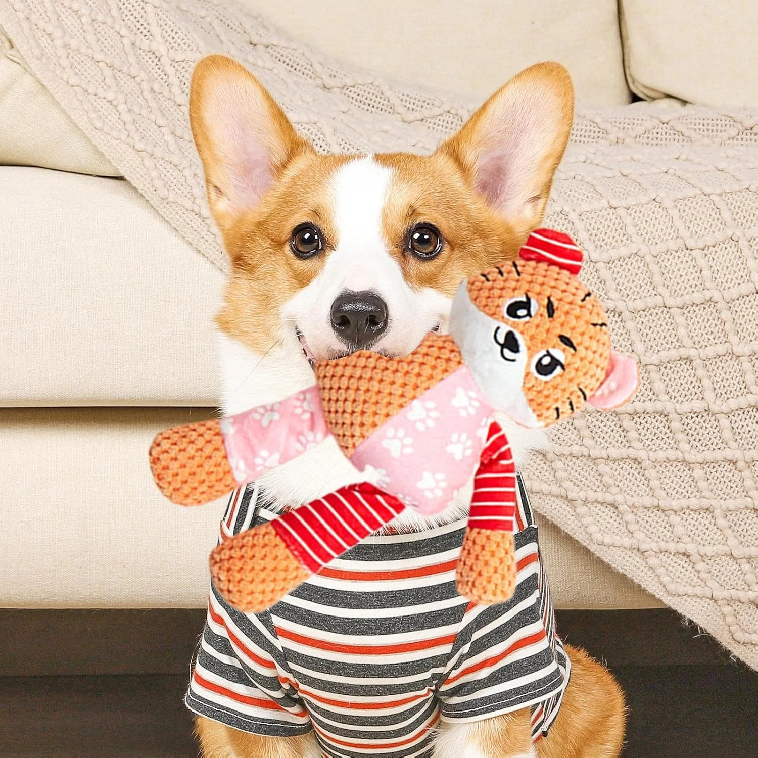 اسباب بازی سگ مخملی، لوازم حیوانات خانگی تعاملی با صدای خش خش - اسباب بازی پولیشی صدادار، برای جویدن، تمیز کردن دندان توله سگ نژاد کوچک، متوسط و بزرگ و سرگرم نگه داشتن آنها