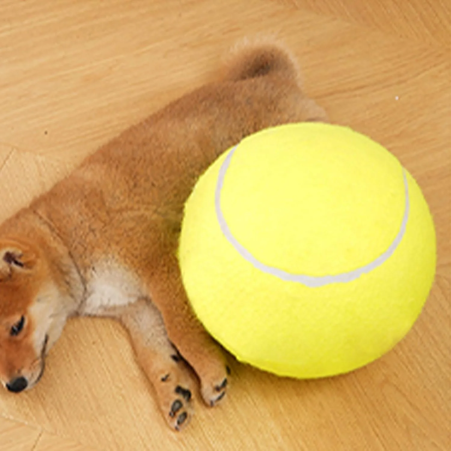 توپ بازی سگ | لوازم آموزشی حیوانات خانگی بزرگ، توپ تنیس جویدنی سگ، برای بازی توله سگ در فضای داخلی و خارجی، غنی سازی، پیاده روی توپ بازی سگ | لوازم آموزشی حیوانات خانگی بزرگ، توپ تنیس جویدنی سگ، برای بازی توله سگ در فضای داخلی و خارجی، غنی سازی، پیاده روی