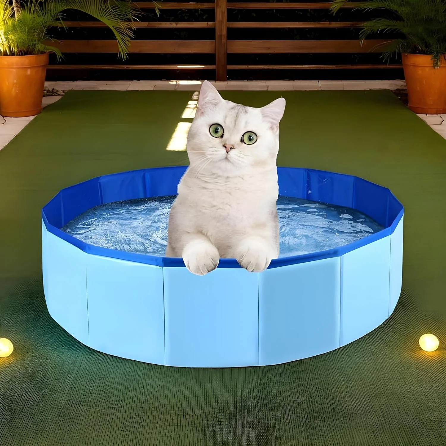 استخر تاشو سگ | وان حمام حیوانات خانگی | استخر تاشو ضد لغزش گربه و سگ برای پاسیو، داخل خانه، پیک نیک، باغ، بالکن، کمپینگ، فضای باز، ساحل استخر تاشو سگ | وان حمام حیوانات خانگی | استخر تاشو ضد لغزش گربه و سگ برای پاسیو، داخل خانه، پیک نیک، باغ، بالکن، کمپینگ، فضای باز، ساحل