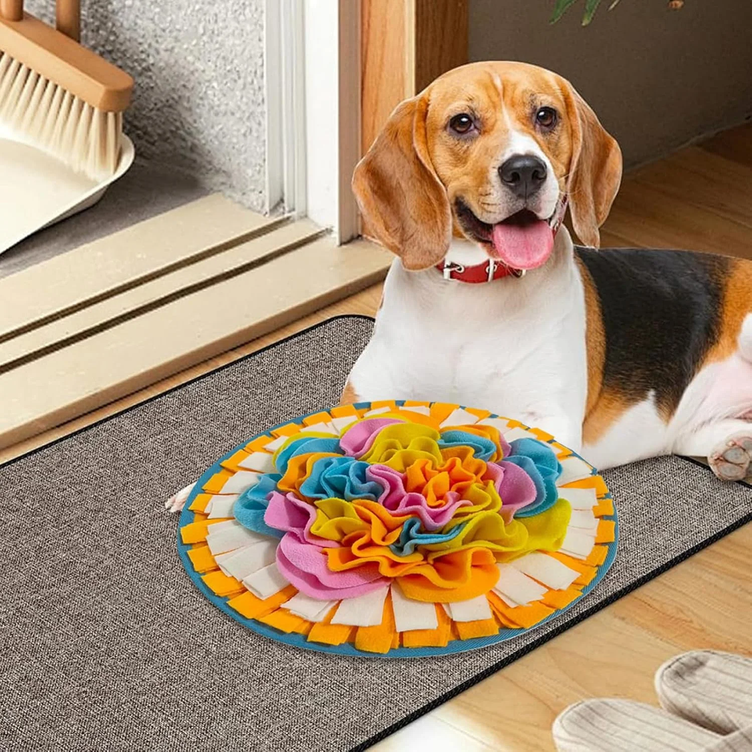 پد بویایی حیوانات خانگی | پد اسناف سگ - اسباب بازی های غنی سازی تعاملی توله سگ برای حیوانات، آموزش جعبه لیسیدن، توله سگ ها، استفاده در فضای باز پد بویایی حیوانات خانگی | پد اسناف سگ - اسباب بازی های غنی سازی تعاملی توله سگ برای حیوانات، آموزش جعبه لیسیدن، توله سگ ها، استفاده در فضای باز