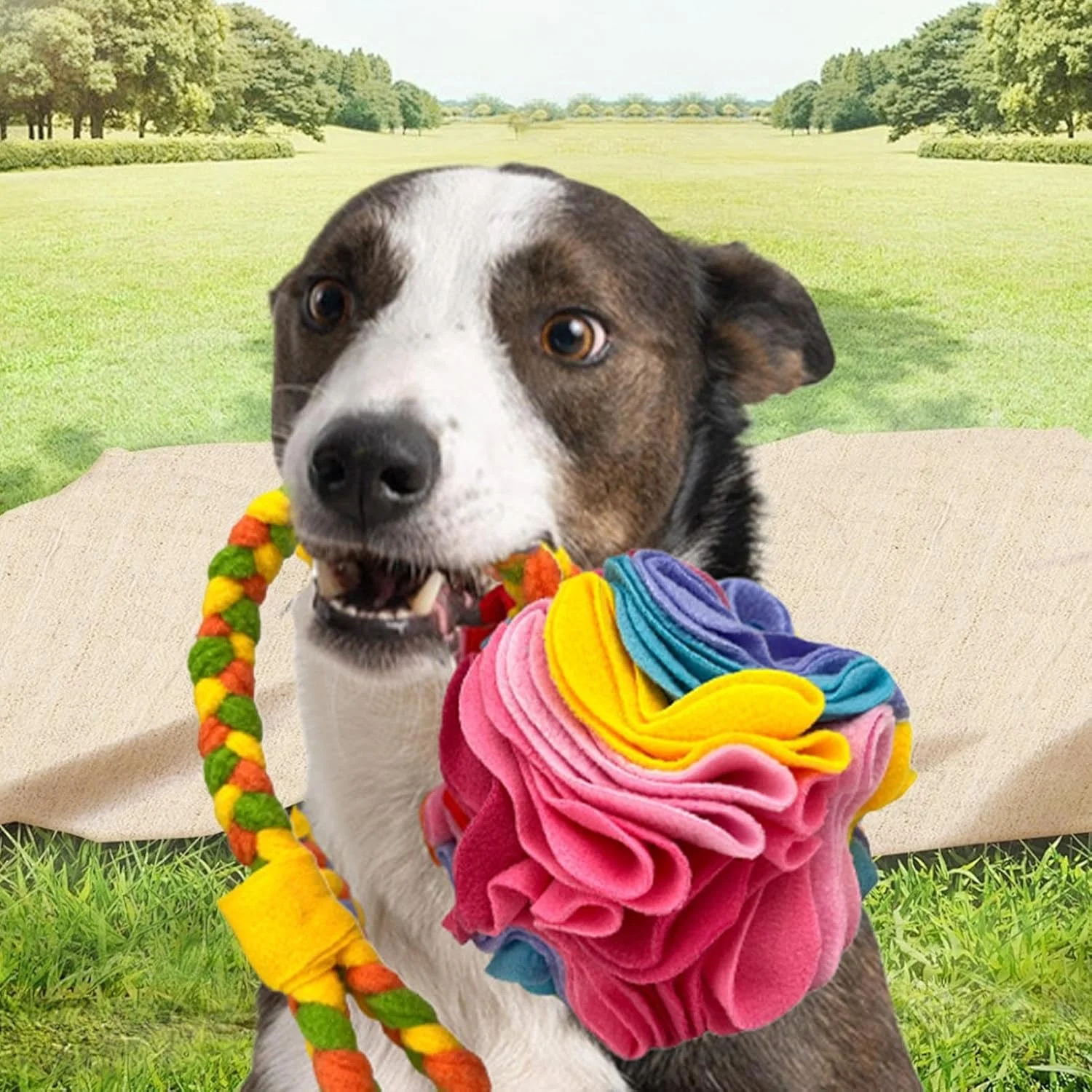 توپ اسنافل - بازی فکری تعاملی و غذای آهسته، توپ تشویقی - برای تحریک ذهنی، آموزش، جویدن، دندان درآوردن، جستجو و بو کشیدن توپ اسنافل - بازی فکری تعاملی و غذای آهسته، توپ تشویقی - برای تحریک ذهنی، آموزش، جویدن، دندان درآوردن، جستجو و بو کشیدن