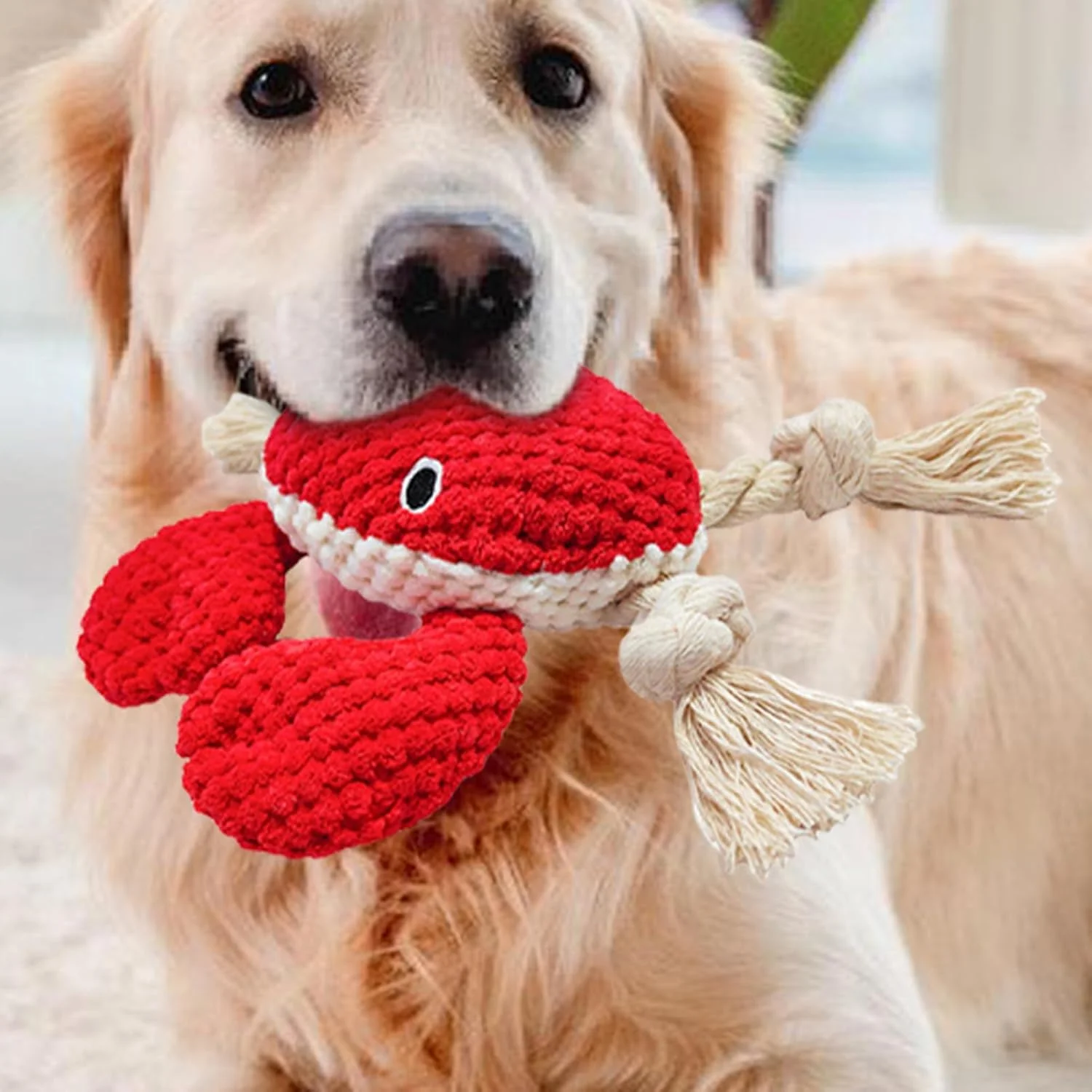 اسباب بازی سگ برای جویدن تهاجمی، اسباب بازی های تعاملی پر شده سگ | لوازم جویدنی حیوانات خانگی تعاملی و صدادار برای گاز گرفتن، بازی کردن، پرتاب کردن، آوردن، تولد، هالووین، کریسمس