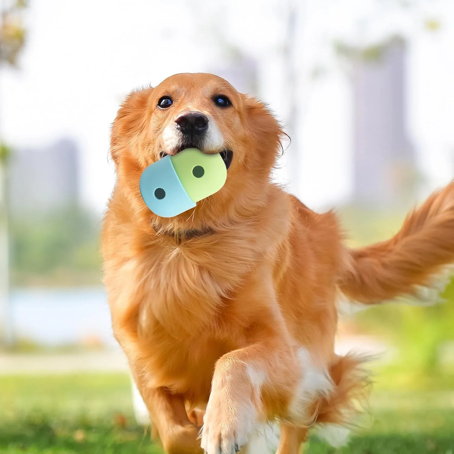 اسباب بازی سگ با قابلیت پخش خوراکی - توپ پخش خوراکی سیلیکونی برای سگ | اسباب بازی پازلی خوراکی برای توله سگ، لوازم حیوانات خانگی برای توله سگ های کوچک، متوسط و بزرگ