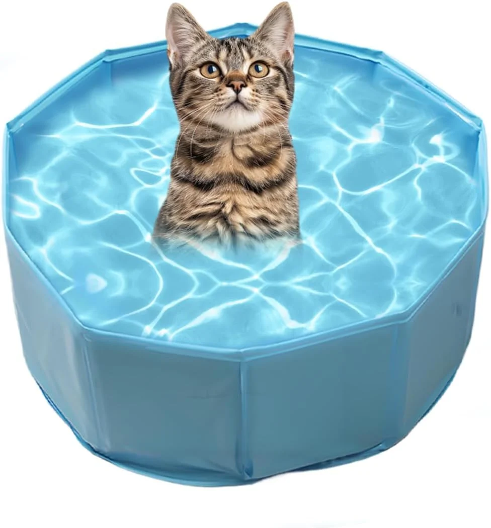 استخر بادی سگ - وان حمام سگ تاشو PVC | وان حمام پارویی حیوانات خانگی برای استفاده در ساحل، باغ، حیاط خلوت و کمپینگ استخر بادی سگ - وان حمام سگ تاشو PVC | وان حمام پارویی حیوانات خانگی برای استفاده در ساحل، باغ، حیاط خلوت و کمپینگ