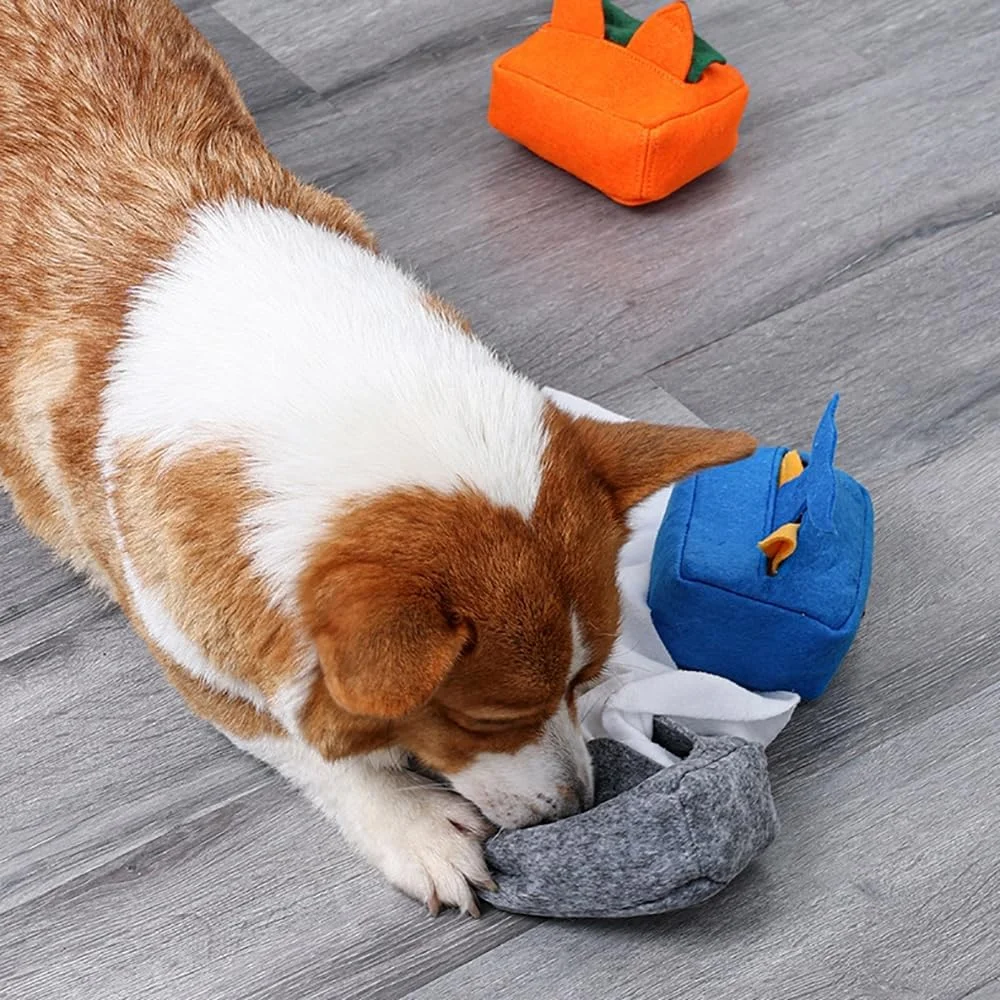 اسباب بازی جعبه دستمال کاغذی سگ DONGKER، اسباب بازی جویدنی حیوانات خانگی پولیشی برای سگ ها گربه ها حیوانات کوچک اسباب بازی جعبه دستمال کاغذی سگ DONGKER، اسباب بازی جویدنی حیوانات خانگی پولیشی برای سگ ها گربه ها حیوانات کوچک