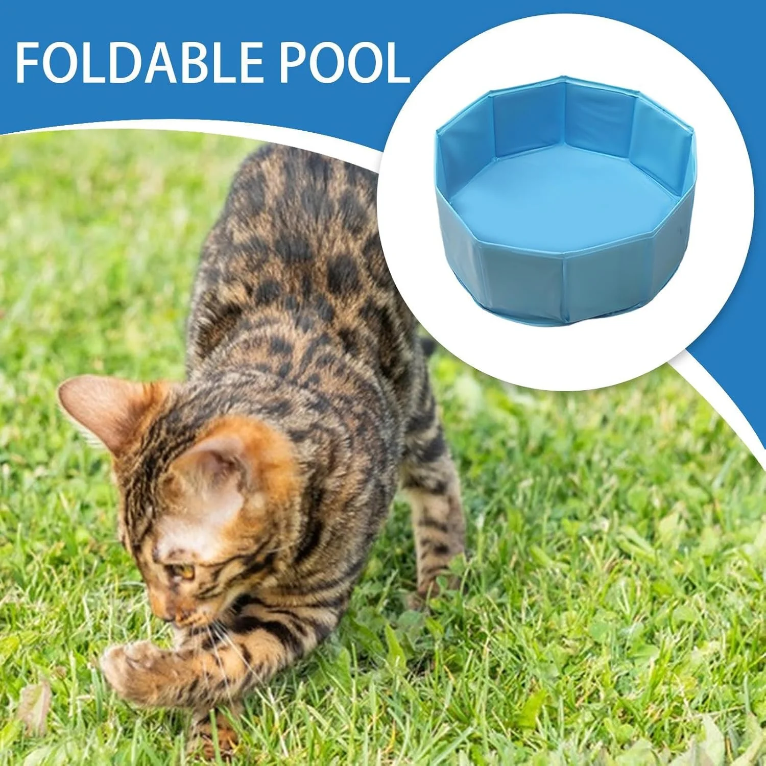 استخر بادی سگ - وان حمام سگ تاشو PVC | وان حمام پارویی حیوانات خانگی برای استفاده در ساحل، باغ، حیاط خلوت و کمپینگ استخر بادی سگ - وان حمام سگ تاشو PVC | وان حمام پارویی حیوانات خانگی برای استفاده در ساحل، باغ، حیاط خلوت و کمپینگ