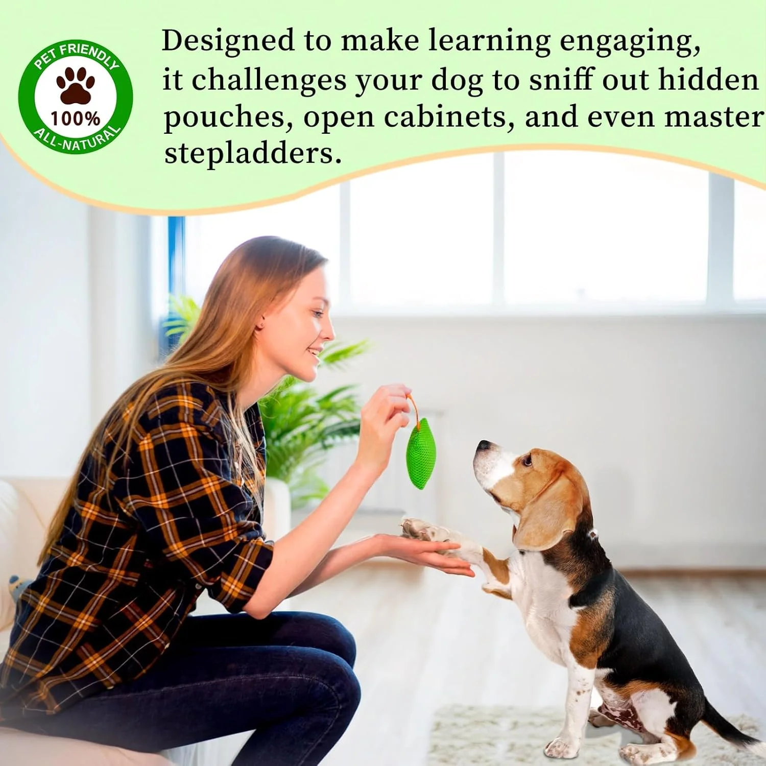 کیت آموزش بویایی سگ، بازی های فکری سگ، اسباب بازی های قایم موشک سگ، بازی های سگ - کار بینی سرگرم کننده برای سگ ها، اسباب بازی های بویایی و جستجوی سگ، کیت کار بینی سگ، کیت کار بویایی برای همه سنین سگ (سبز) کیت آموزش بویایی سگ، بازی های فکری سگ، اسباب بازی های قایم موشک سگ، بازی های سگ - کار بینی سرگرم کننده برای سگ ها، اسباب بازی های بویایی و جستجوی سگ، کیت کار بینی سگ، کیت کار بویایی برای همه سنین سگ (سبز)