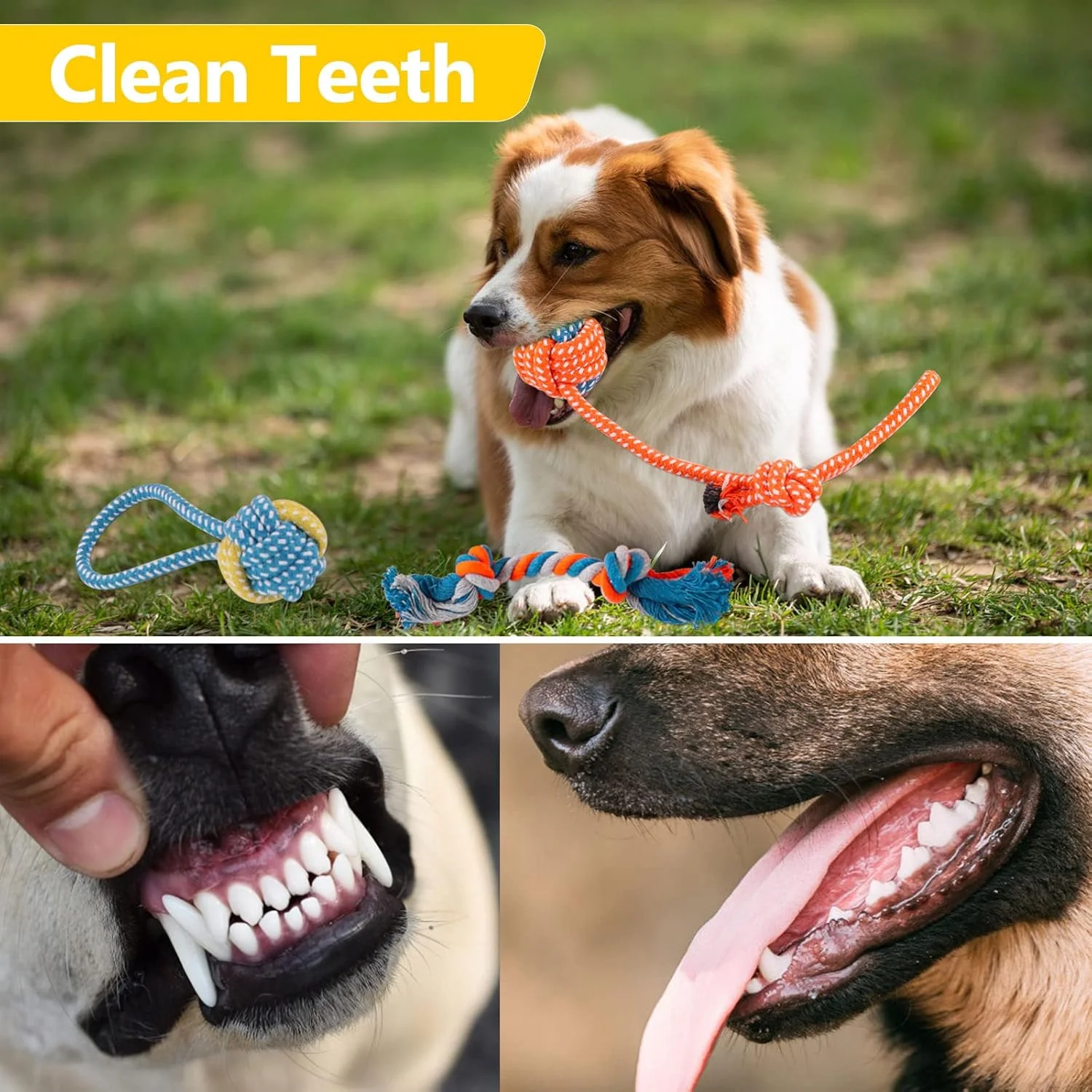 مجموعه ۷ عددی اسباب بازی سگ DKundZH، اسباب بازی های صدادار سگ، اسباب بازی های توله سگ برای دندان درآوردن سگ های کوچک، اسباب بازی های پولیشی پر شده، طناب برای سگ های متوسط تا بزرگ مجموعه ۷ عددی اسباب بازی سگ DKundZH، اسباب بازی های صدادار سگ، اسباب بازی های توله سگ برای دندان درآوردن سگ های کوچک، اسباب بازی های پولیشی پر شده، طناب برای سگ های متوسط تا بزرگ