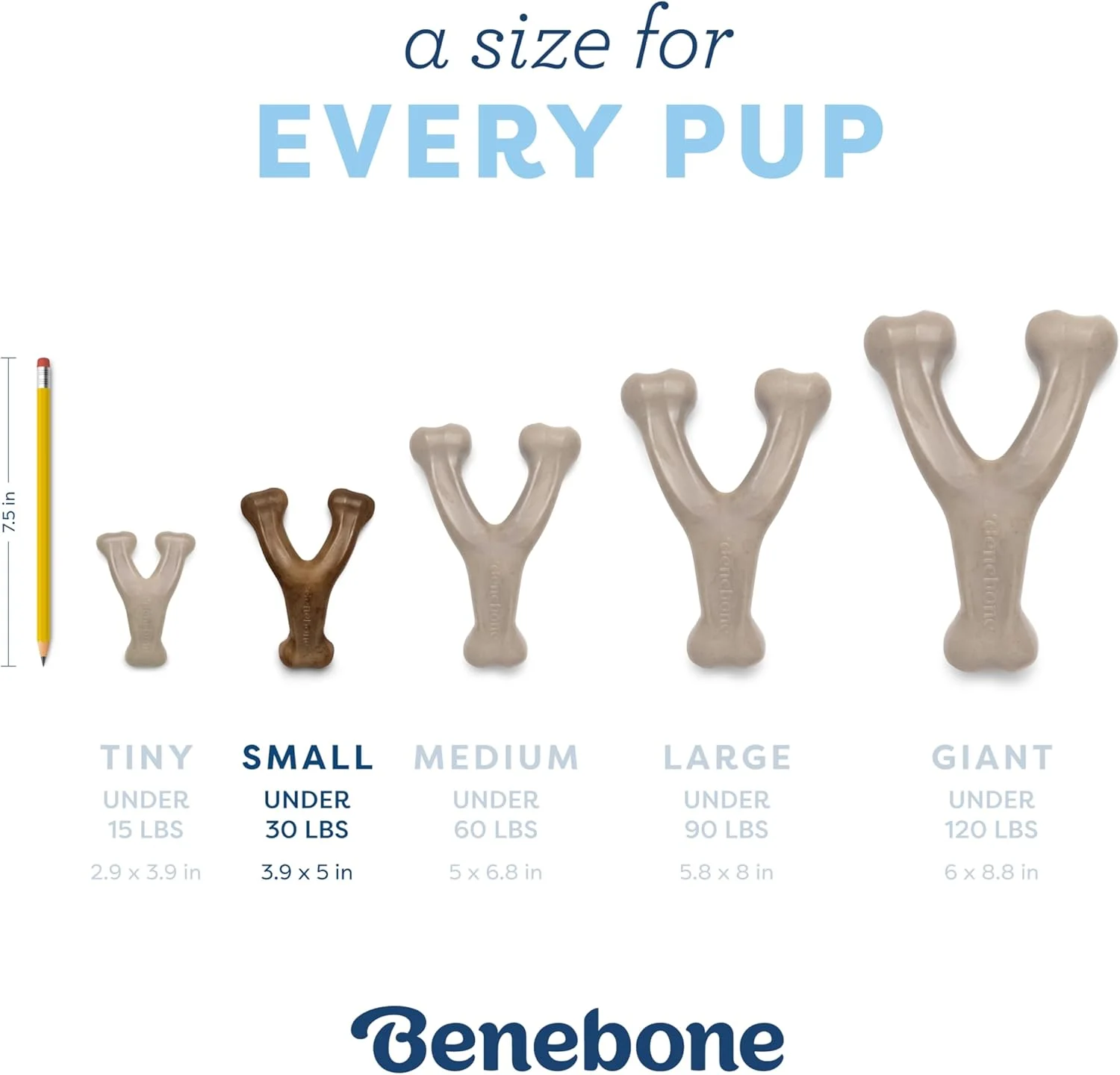 اسباب بازی جویدنی سگ بچه گانه Benebone مدل Wishbone، طعم بیکن - کوچک، مناسب برای جویدن ملایم تر اسباب بازی جویدنی سگ بچه گانه Benebone مدل Wishbone، طعم بیکن - کوچک، مناسب برای جویدن ملایم تر