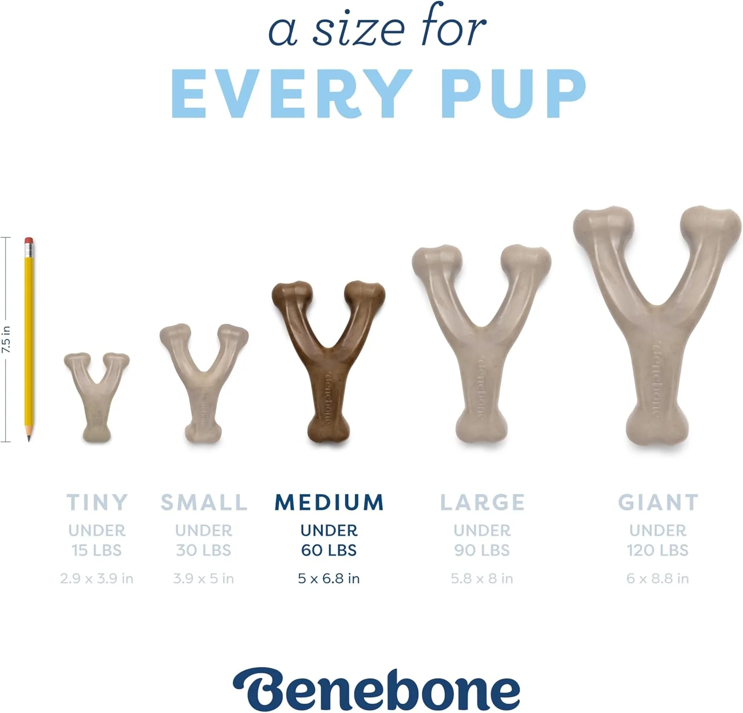اسباب بازی جویدنی استخوان آرزو Benebone برای توله سگ، مناسب جویدن ملایم تر، طعم بیکن، سایز متوسط اسباب بازی جویدنی استخوان آرزو Benebone برای توله سگ، مناسب جویدن ملایم تر، طعم بیکن، سایز متوسط
