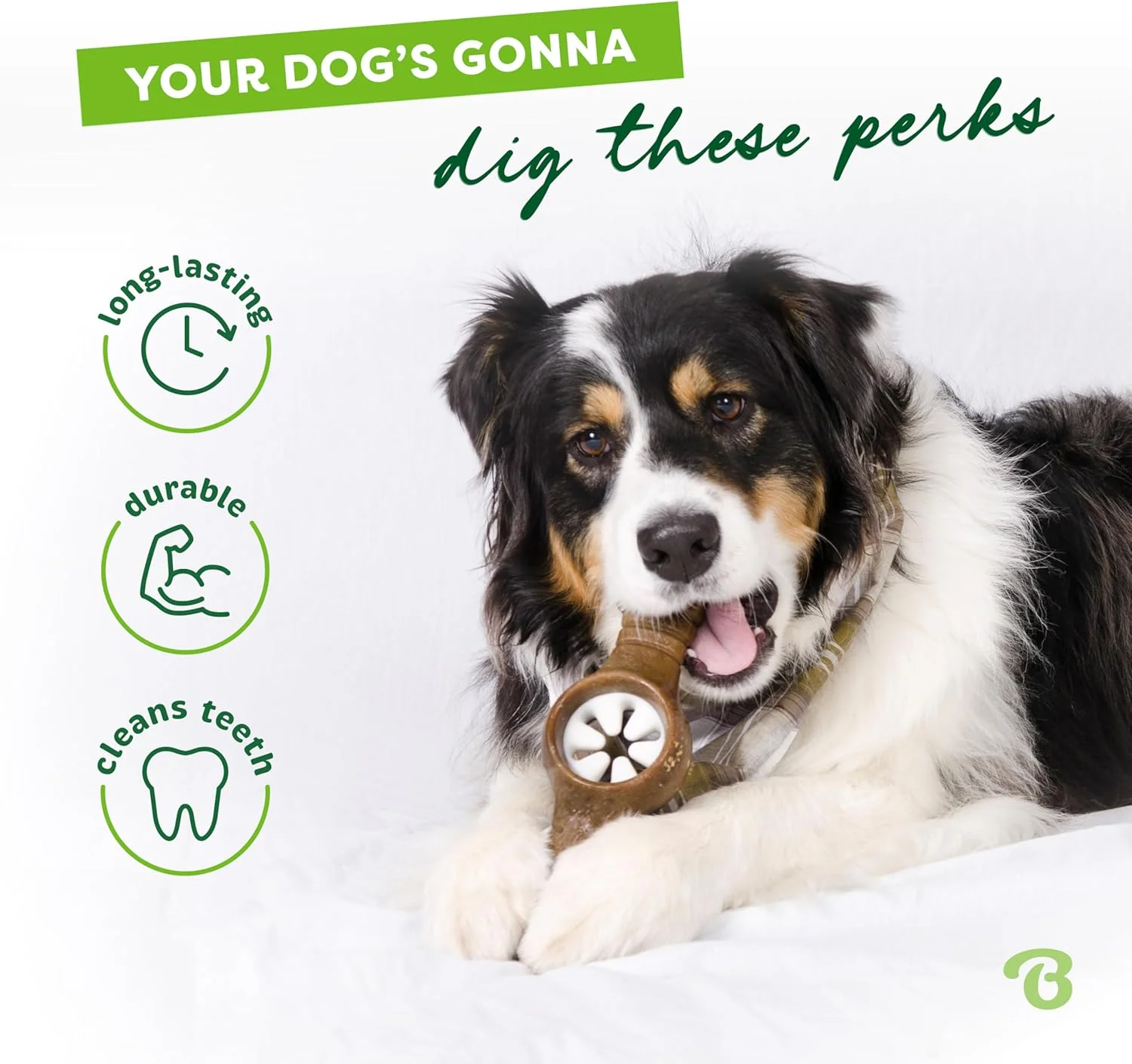 اسباب بازی جویدنی سگ بن بن مدل Pawplexer با طعم واقعی، ساخت آمریکا، سایز متوسط B071JQ8HJK