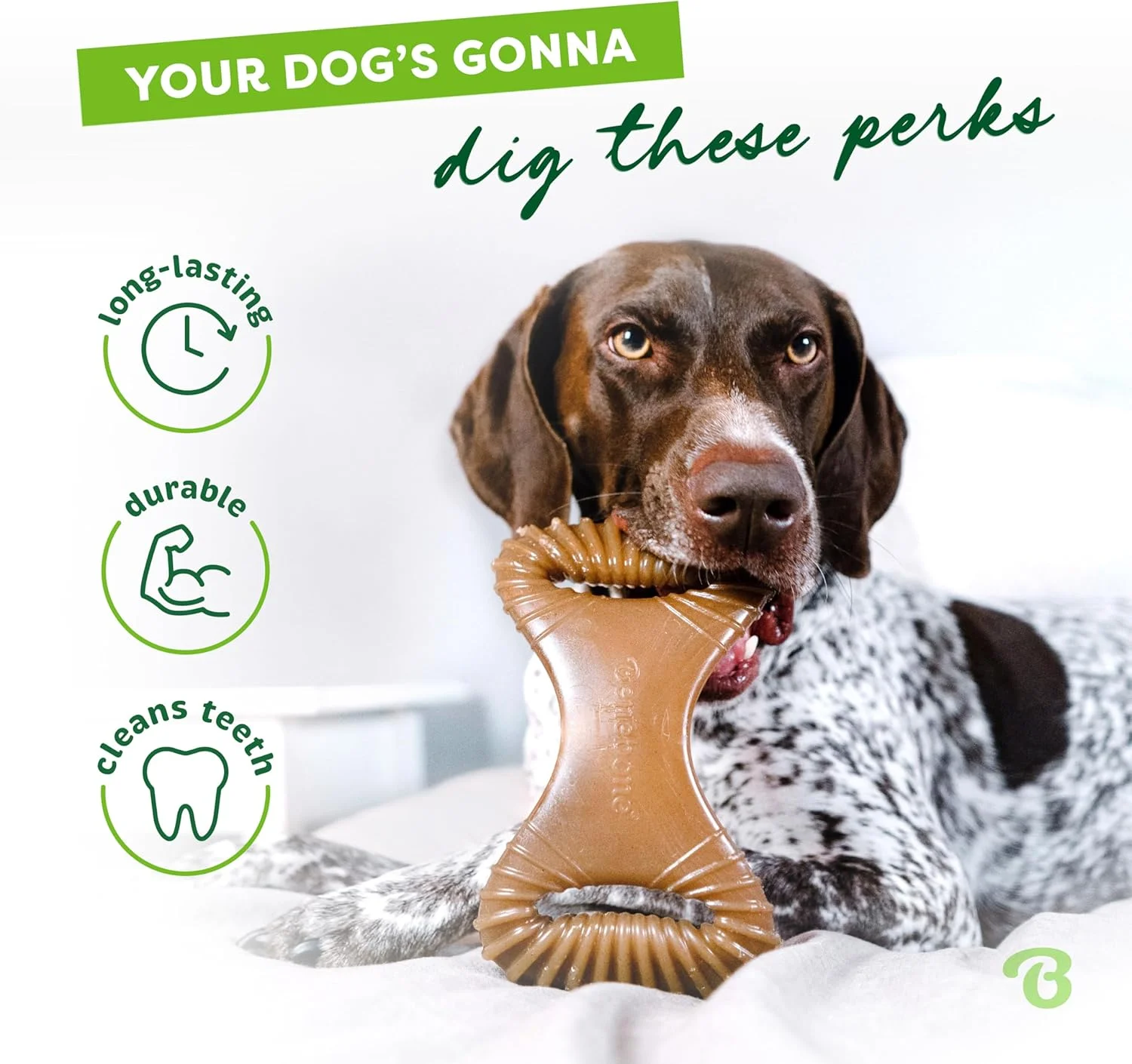 اسباب بازی جویدنی دندانی سگ Benebone برای جویدن تهاجمی، طعم مرغ، بزرگ اسباب بازی جویدنی دندانی سگ Benebone برای جویدن تهاجمی، طعم مرغ، بزرگ