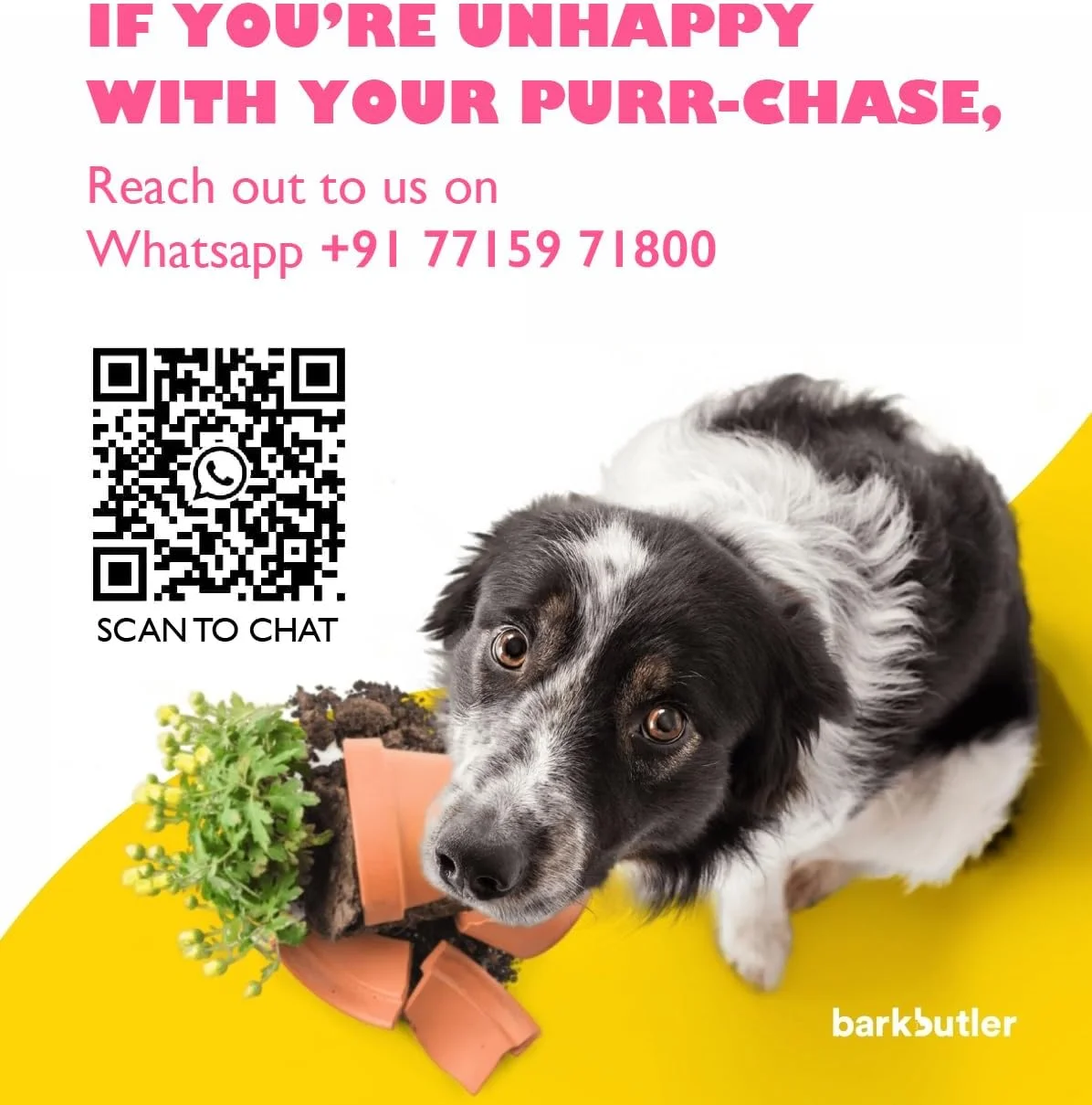 فوتبال دندانی سگ BarkButler FOFOS Crunch سایز L رنگ های متنوع فوتبال دندانی سگ BarkButler FOFOS Crunch سایز L رنگ های متنوع