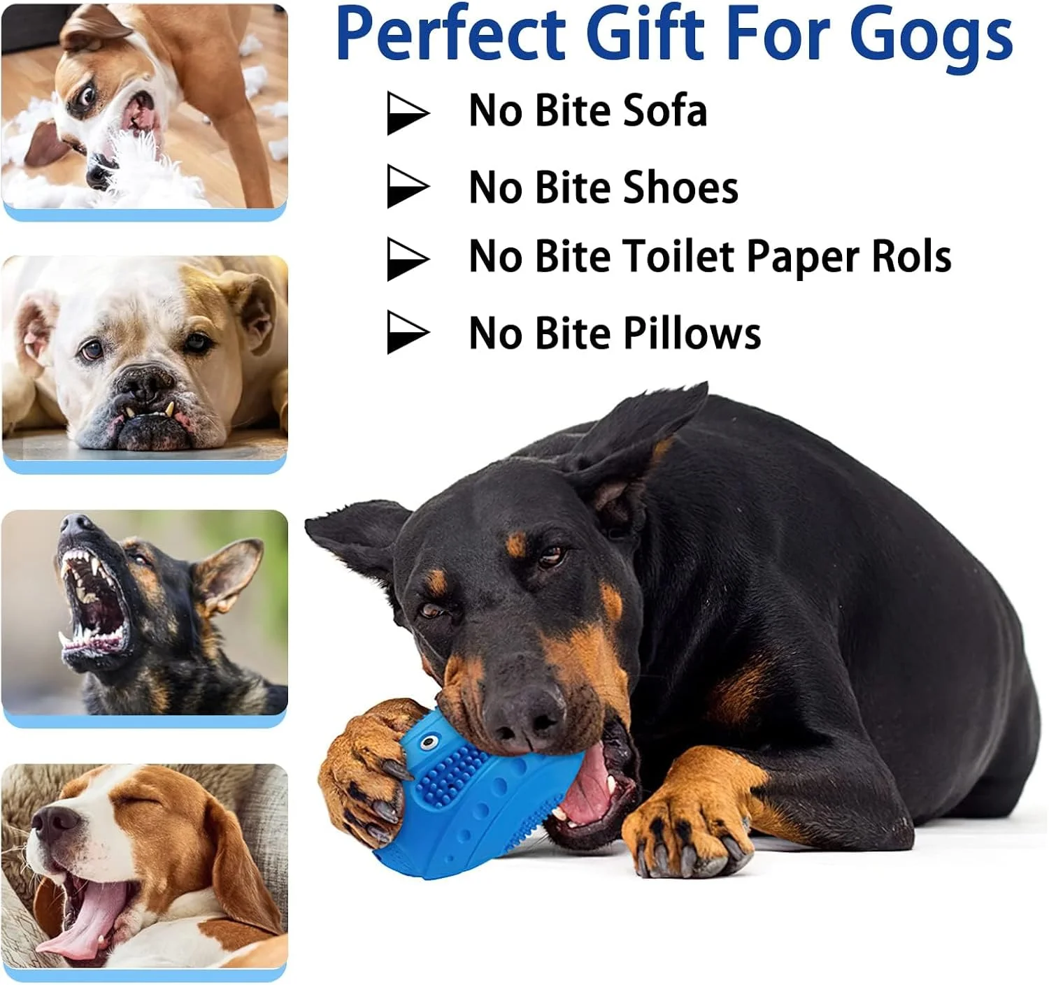 توپ سوت دار سگ آزونی، اسباب بازی بادوام و مقاوم 13.2 سانتی متری برای سگ های نژاد متوسط و بزرگ، اسباب بازی برای رفع خستگی و تحریک سگ، اسباب بازی لاستیکی حیوانات خانگی، اسباب بازی سگ در فضای باز توپ سوت دار سگ آزونی، اسباب بازی بادوام و مقاوم 13.2 سانتی متری برای سگ های نژاد متوسط و بزرگ، اسباب بازی برای رفع خستگی و تحریک سگ، اسباب بازی لاستیکی حیوانات خانگی، اسباب بازی سگ در فضای باز