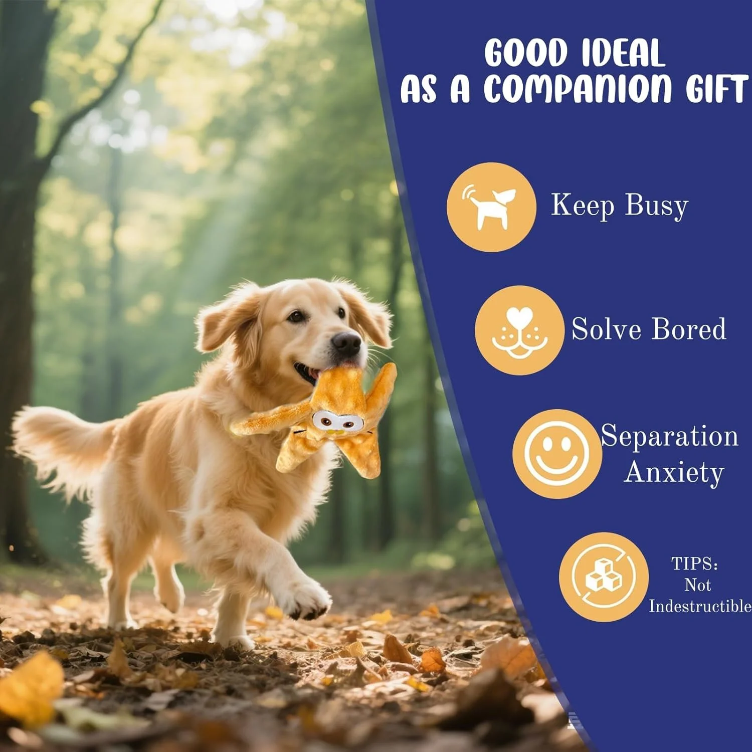 اسباب بازی های سگ جیرجیرکی بدون الیاف آزونی - اسباب بازی های جویدنی سگ خنده دار برای نژادهای کوچک و متوسط، اسباب بازی تعاملی پخش کننده تشویقی برای حیوانات خانگی فعال (4 عدد) اسباب بازی های سگ جیرجیرکی بدون الیاف آزونی - اسباب بازی های جویدنی سگ خنده دار برای نژادهای کوچک و متوسط، اسباب بازی تعاملی پخش کننده تشویقی برای حیوانات خانگی فعال (4 عدد)