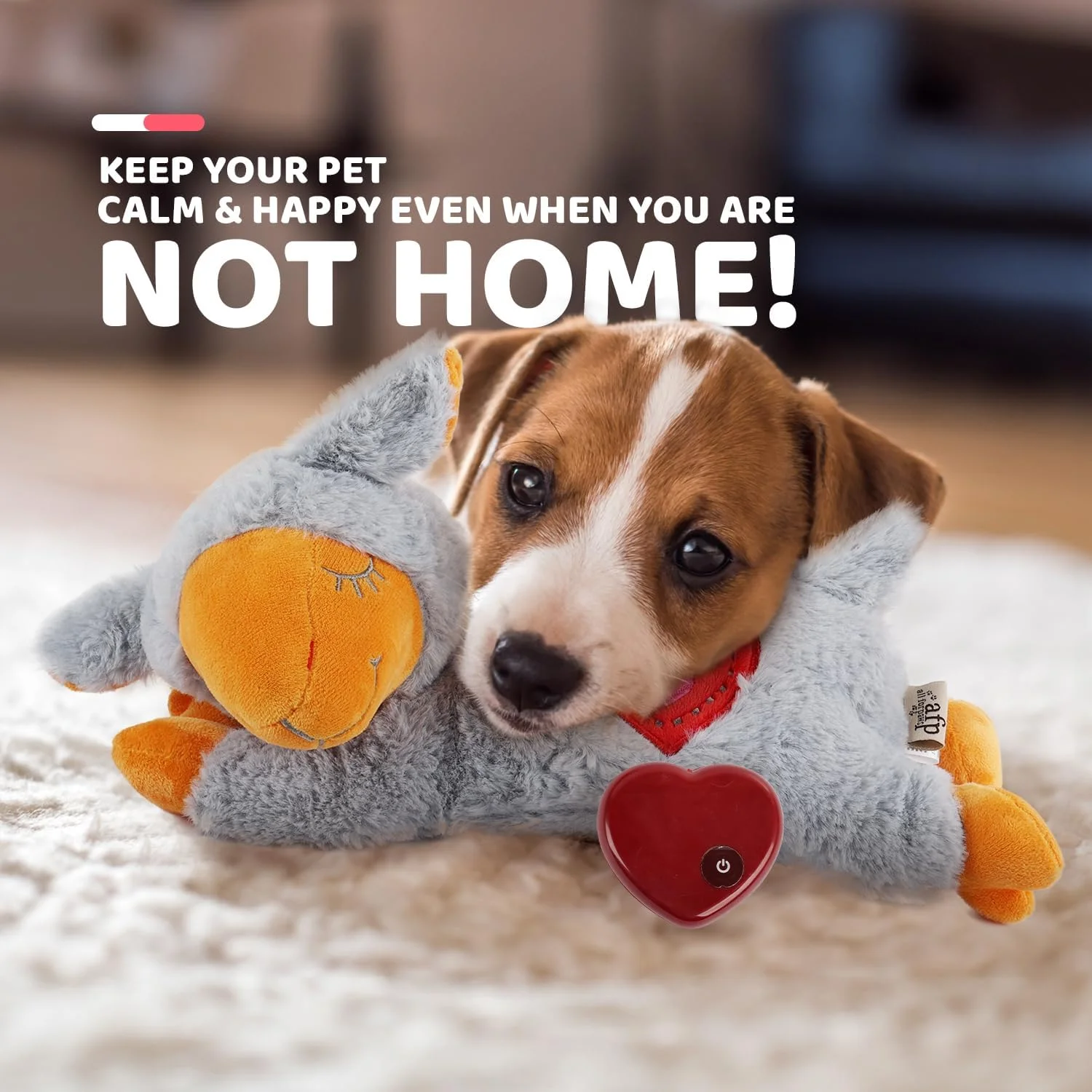 اسباب بازی سگ ضربان قلب ALL FOR PAWS، تسکین اضطراب سگ، اسباب بازی سگ، اسباب بازی حیوانات خانگی، اسباب بازی کمک آموزشی رفتاری برای تسکین اضطراب سگ (گوسفند خاکستری 38 سانتی متر) اسباب بازی سگ ضربان قلب ALL FOR PAWS، تسکین اضطراب سگ، اسباب بازی سگ، اسباب بازی حیوانات خانگی، اسباب بازی کمک آموزشی رفتاری برای تسکین اضطراب سگ (گوسفند خاکستری 38 سانتی متر)