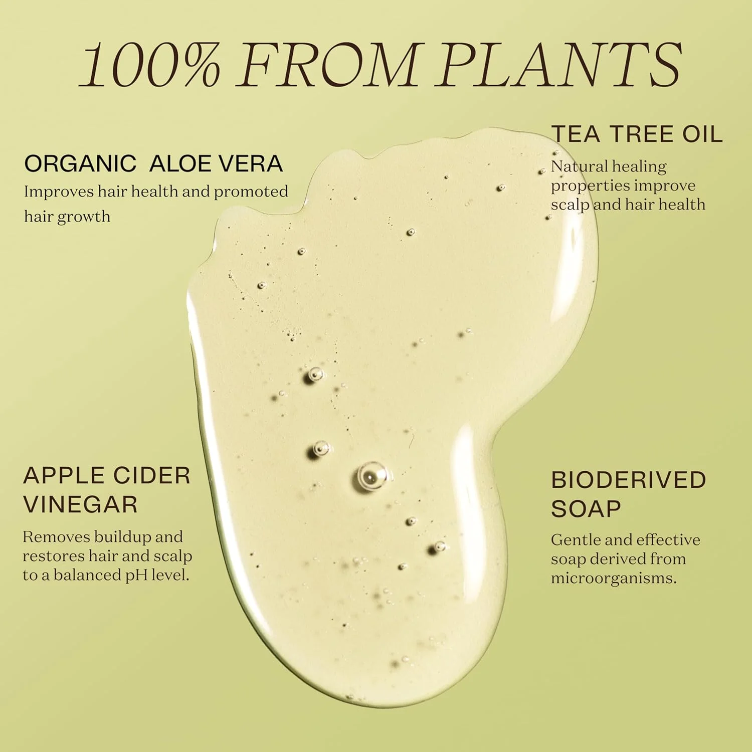 شامپو وگان Ingreendients 100% گیاهی برای پوست و پوست سر حساس، متعادل با pH - بدون گلوتن، بدون سولفات، بدون سیلیکون، بدون تست حیوانی، ساخته شده با سرکه سیب و روغن درخت چای، محافظ رنگ مو شامپو وگان Ingreendients 100% گیاهی برای پوست و پوست سر حساس، متعادل با pH - بدون گلوتن، بدون سولفات، بدون سیلیکون، بدون تست حیوانی، ساخته شده با سرکه سیب و روغن درخت چای، محافظ رنگ مو