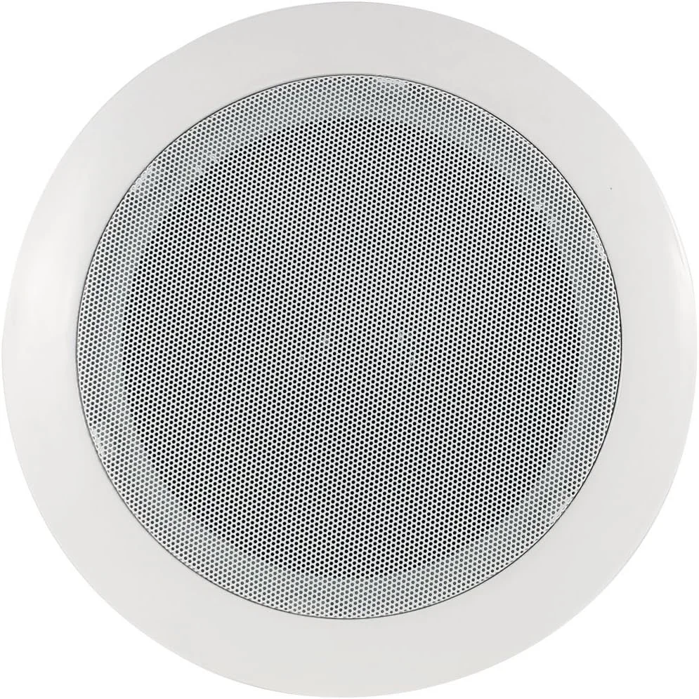 Ruilogod Home Theater In Wall Ceiling Mounted Round Shaped Audio Loudspeaker Background Music Streaming Stereo Speaker System 23cm 9 Inch Diameter White