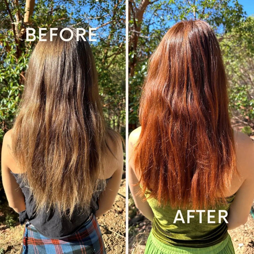 پودر حنا 100% خالص و طبیعی The Henna Guys برای رنگ کردن/رنگ مو، 200 گرم پودر حنا 100% خالص و طبیعی The Henna Guys برای رنگ کردن/رنگ مو، 200 گرم