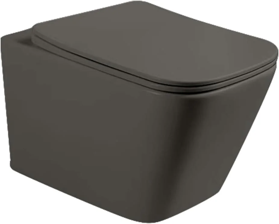 توالت فرنگی وال هنگ مدرن Rodbo Design Rodbo، ابعاد 515x360x310mm، نصب دیواری، درب آرام بند، P-Trap، دو زمانه، فاصله نصب 180mm، توالت بهینه ساز فضا (خاکستری تیره مات)