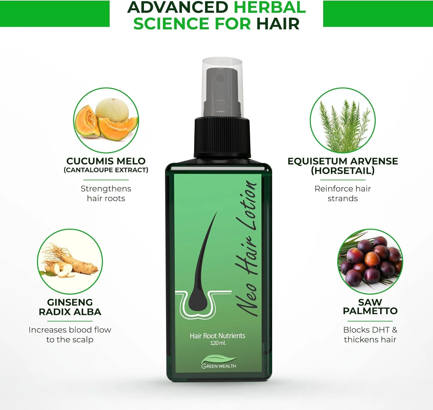 لوسیون موی گرین ولث نئو برای درمان ریزش مو | رشد مجدد مو | نازک شدن، لکه های طاسی و ریزش مو | فرمول مورد اعتماد با جینسینگ، نخل اره ای و دم اسب | 120 میلی لیتر لوسیون موی گرین ولث نئو برای درمان ریزش مو | رشد مجدد مو | نازک شدن، لکه های طاسی و ریزش مو | فرمول مورد اعتماد با جینسینگ، نخل اره ای و دم اسب | 120 میلی لیتر