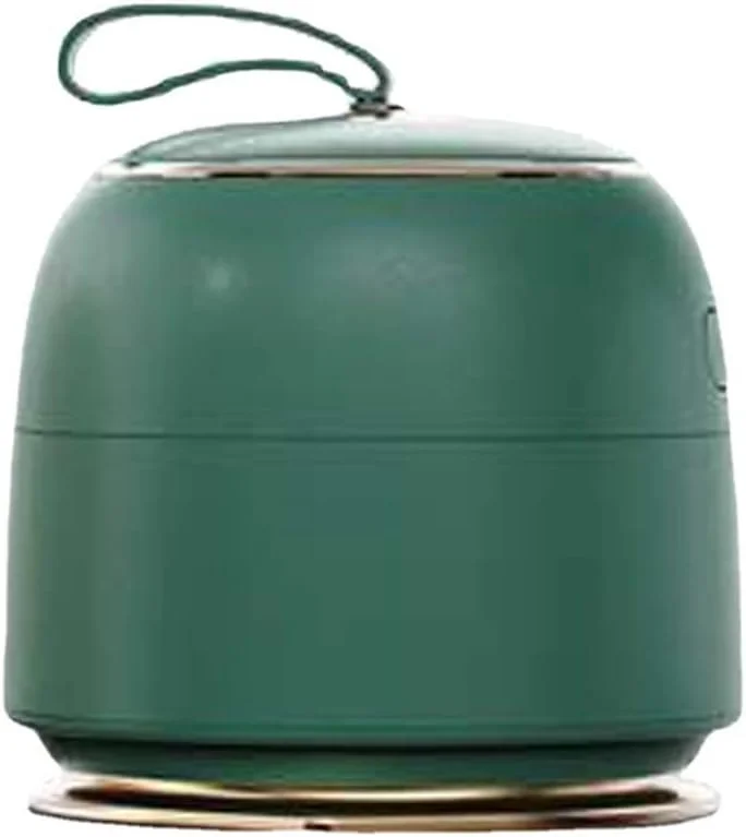 بخارگر لباس دستی BREAUX اتو بخار دستی بی سیم اتو بخار قابل حمل USB قابل شارژ بخارگر لباس 3 دنده دستگاه اتو آویزان برای مسافرت منزل (رنگ: سبز)