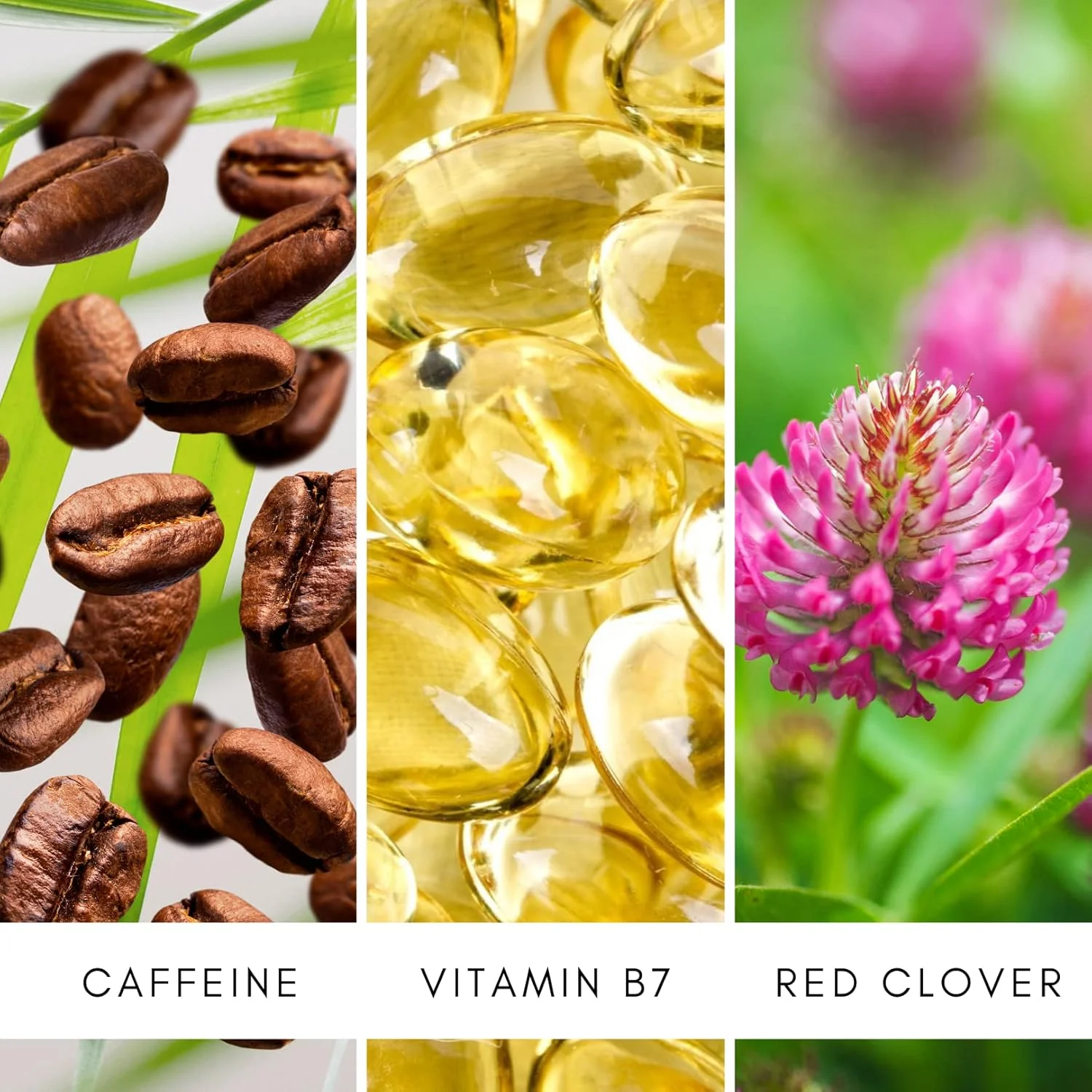 سرم رشد مو بیوتین TruePure - درمان جلوگیری از ریزش مو برای آقایان و خانم ها با موهای نازک و کم پشت - فرمول مراقبت از مو بدون عطر و سولفات، 60 میلی لیتر