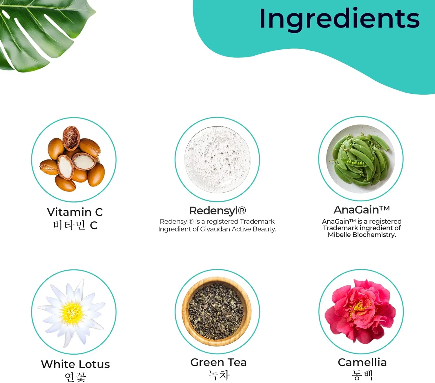 مجموعه پیشرفته رویش موی کرهای PILGRIM | سرم مو حاوی 3% Redensyl و 4% Anagain حجم 50 میلیلیتر، شامپو بدون سولفات حجم 200 میلیلیتر و نرم کننده مو حجم 200 میلیلیتر | مناسب انواع مو | برای آقایان و بانوان مجموعه پیشرفته رویش موی کرهای PILGRIM | سرم مو حاوی 3% Redensyl و 4% Anagain حجم 50 میلیلیتر، شامپو بدون سولفات حجم 200 میلیلیتر و نرم کننده مو حجم 200 میلیلیتر | مناسب انواع مو | برای آقایان و بانوان