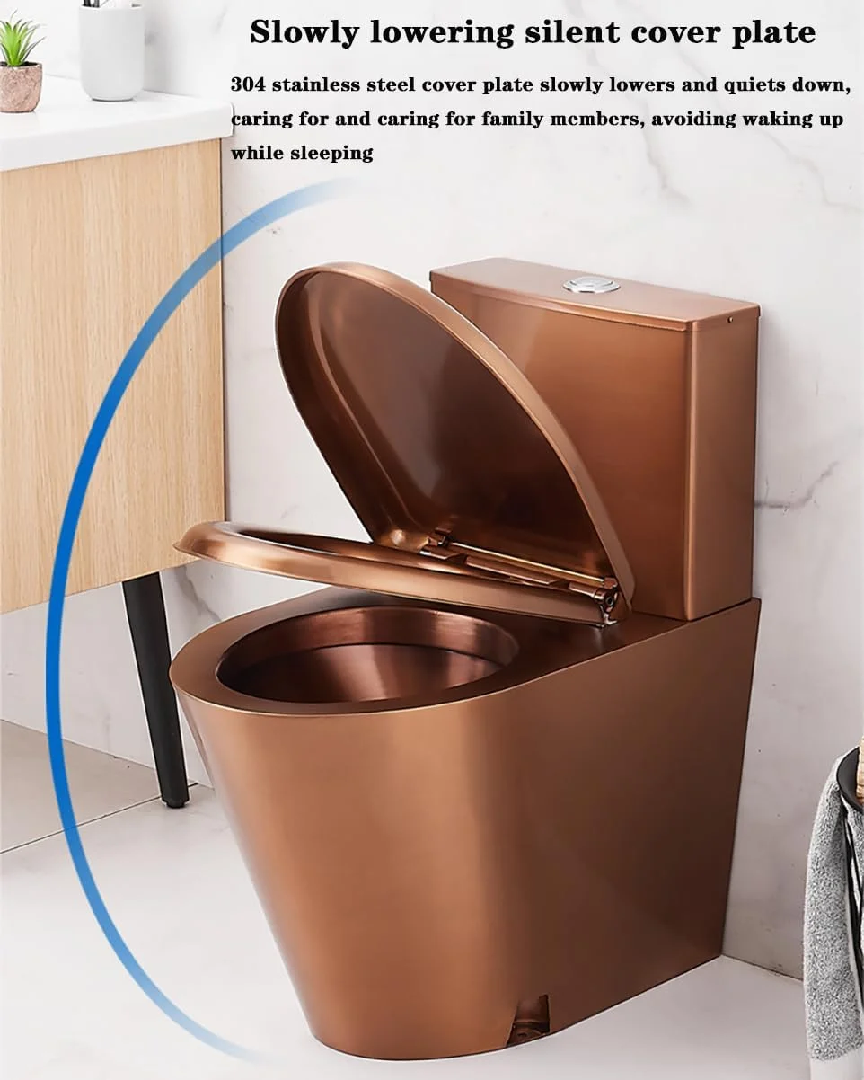 توالت فرنگی دو زمانه صرفه جویی در مصرف آب مناسب برای منازل، توالت فرنگی یکپارچه استیل 304، مناسب برای بیمارستان ها، RV و غیره، B,A