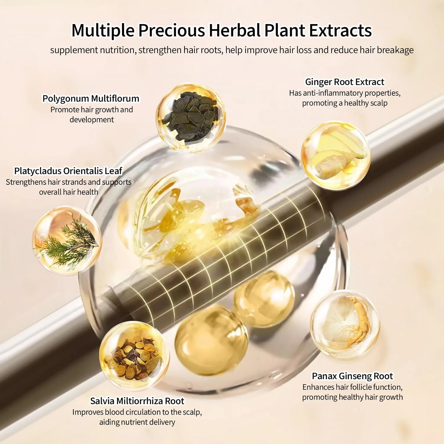 سرم رشد مو نوتری هربز برای زنان و مردان، سرم مو با بیوتین و پپتیدها، برای ریزش مو، نازک شدن مو، داشتن موهایی ضخیم تر و پرپشت تر - 30 میلی لیتر